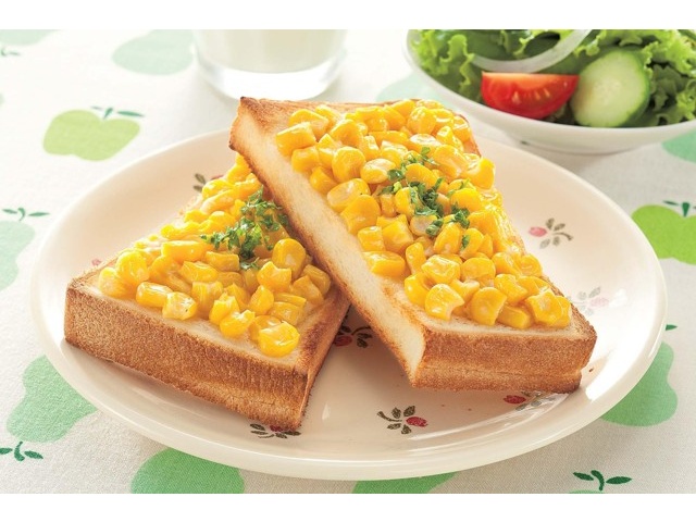 ここのごはん ドライフード 2袋 賞味期限2025 このこのごはん ドライフード 2025年08月20日賞味期限