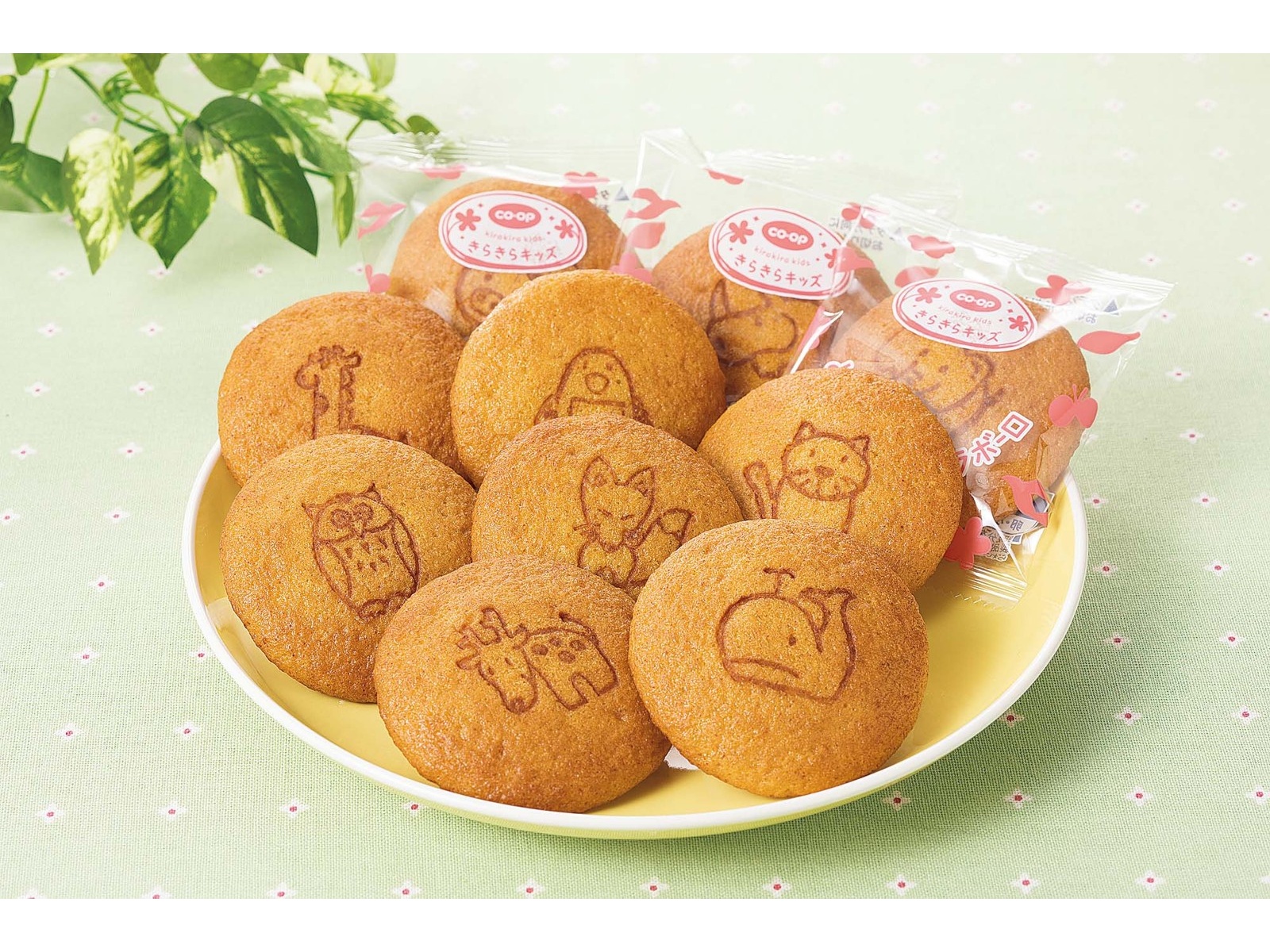 CO・OP どうぶつカステラボーロ 10枚入 | コープこうべネット