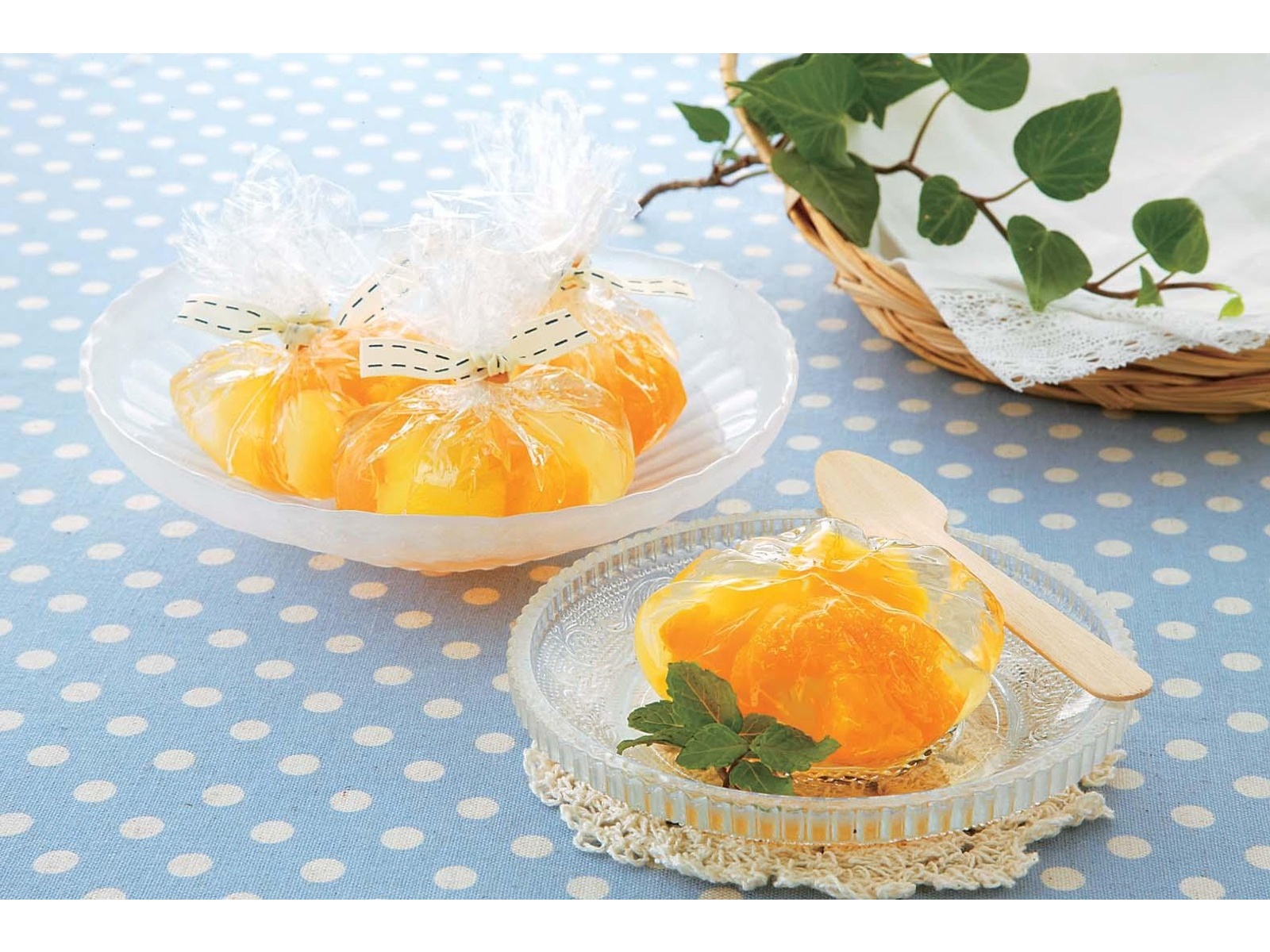 Collie専用購入ページ Collie hound(コリー)