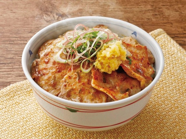 CO・OP ＆ソラチ 十勝ねぎ塩豚丼のたれ 215g | コープこうべネット