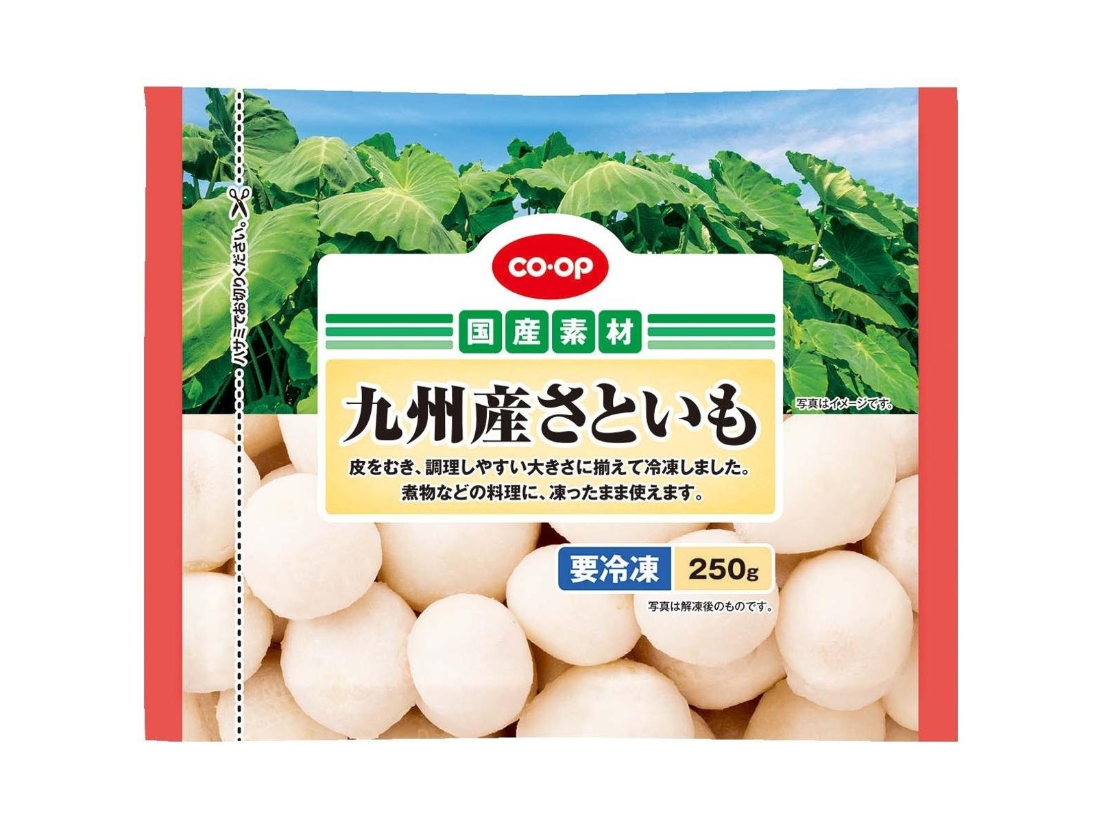 北陸中部関西中国四国地方の方　冷凍コオロギ1kg M・Lサイズ　フタホシコオロギ 北陸中部関西中国四国地方の方 冷凍コオロギ1kg M・Lサイズ