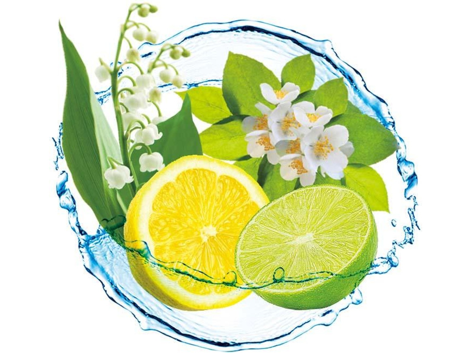 【おやしらぶ様】専用 アチーブメントQuality Company Design おやしらぶ様】専用 アチーブメントQuality Company Design おやしらぶ