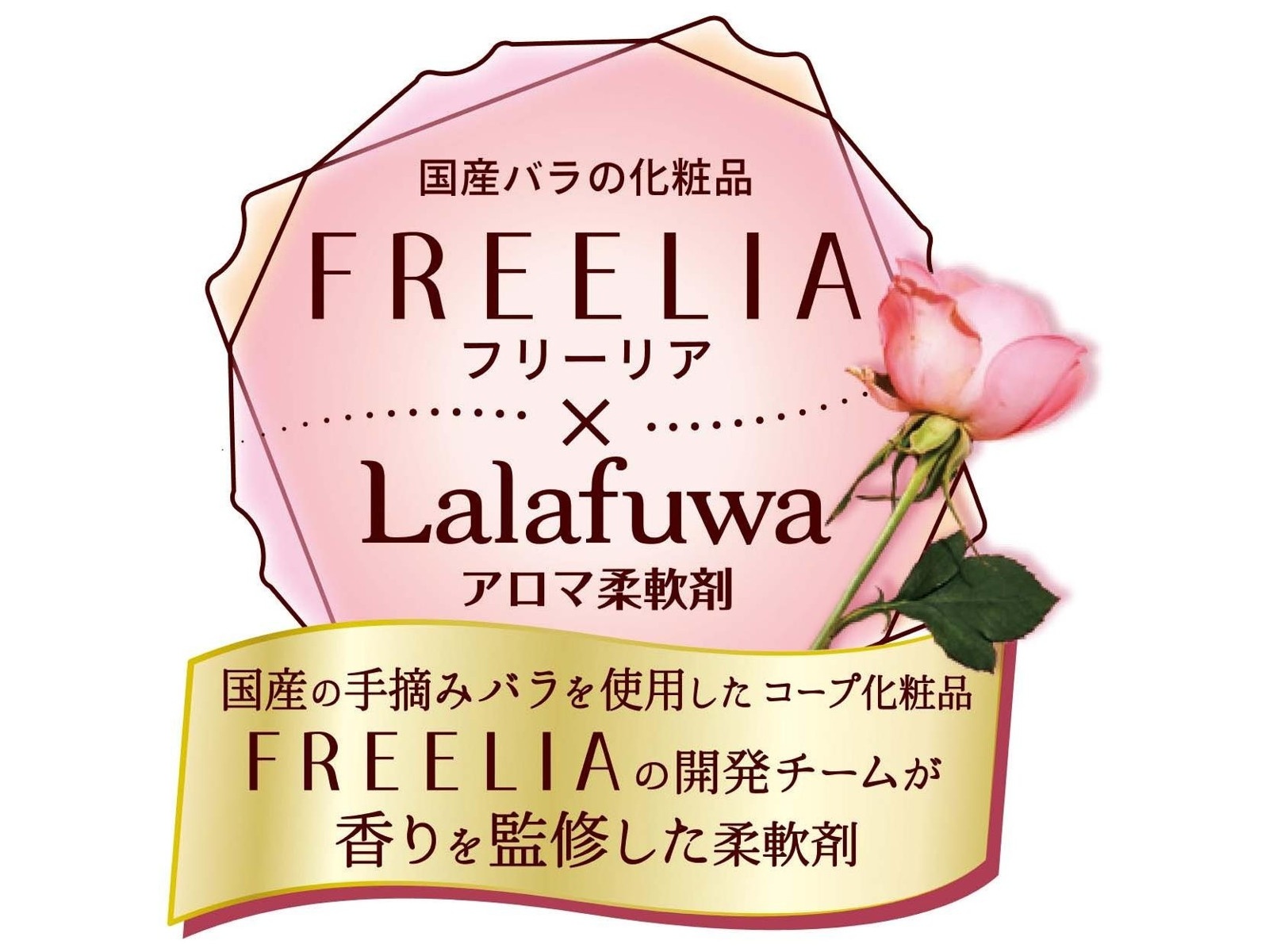 【おやしらぶ様】専用 アチーブメントQuality Company Design おやしらぶ様】専用 アチーブメントQuality Company Design