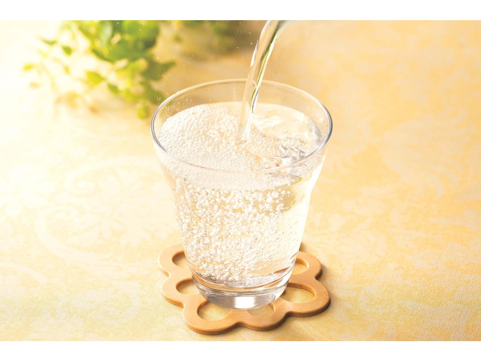 炭水化物大好き CO・OP ただの炭酸水レモン風味 1箱（200ml×15缶入）| コープ