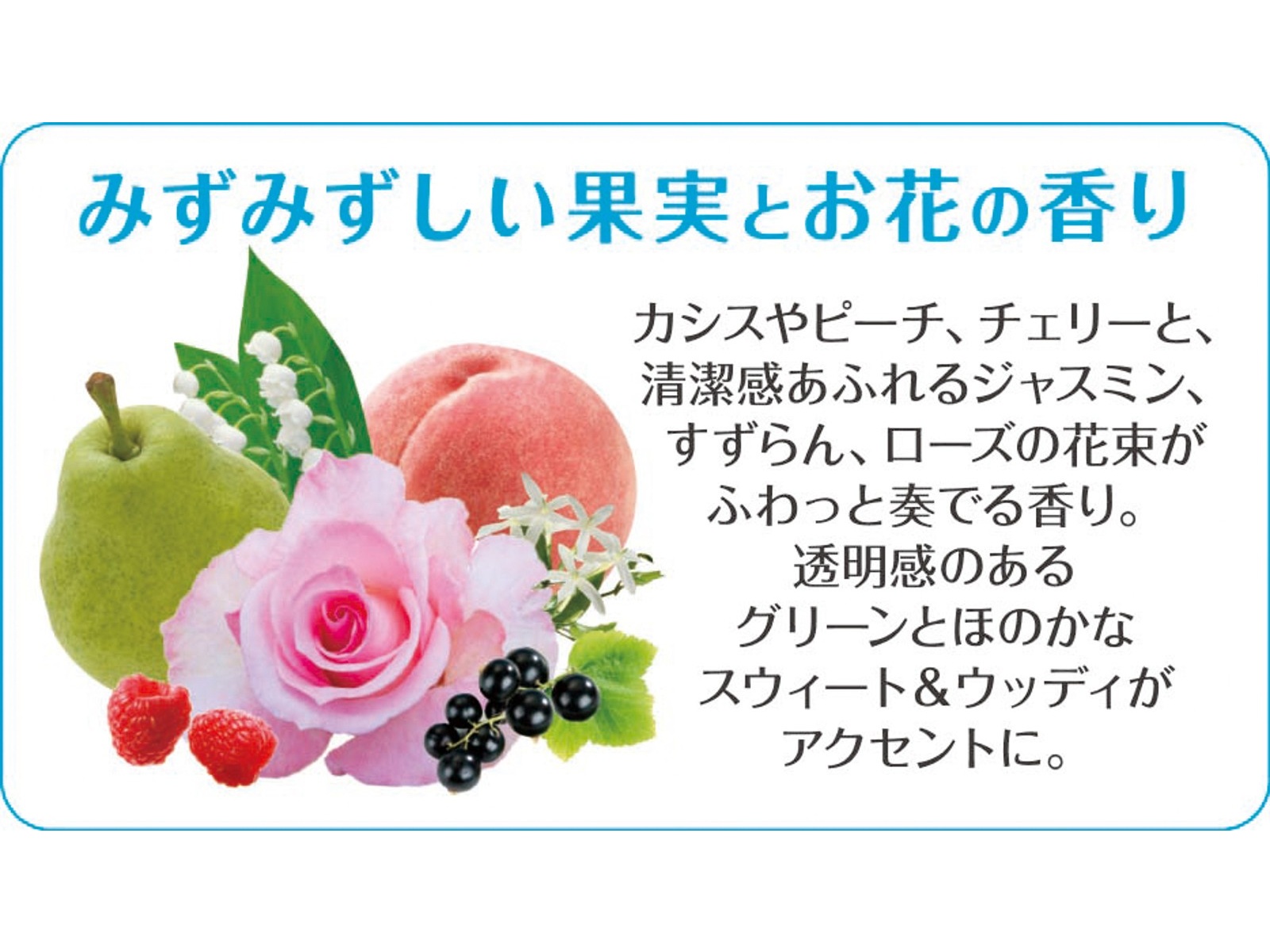 【新品未開封】ファンファレ ととのうみすと 詰替用150ml 3個セット ③ととのうみすと 詰め替え 3袋