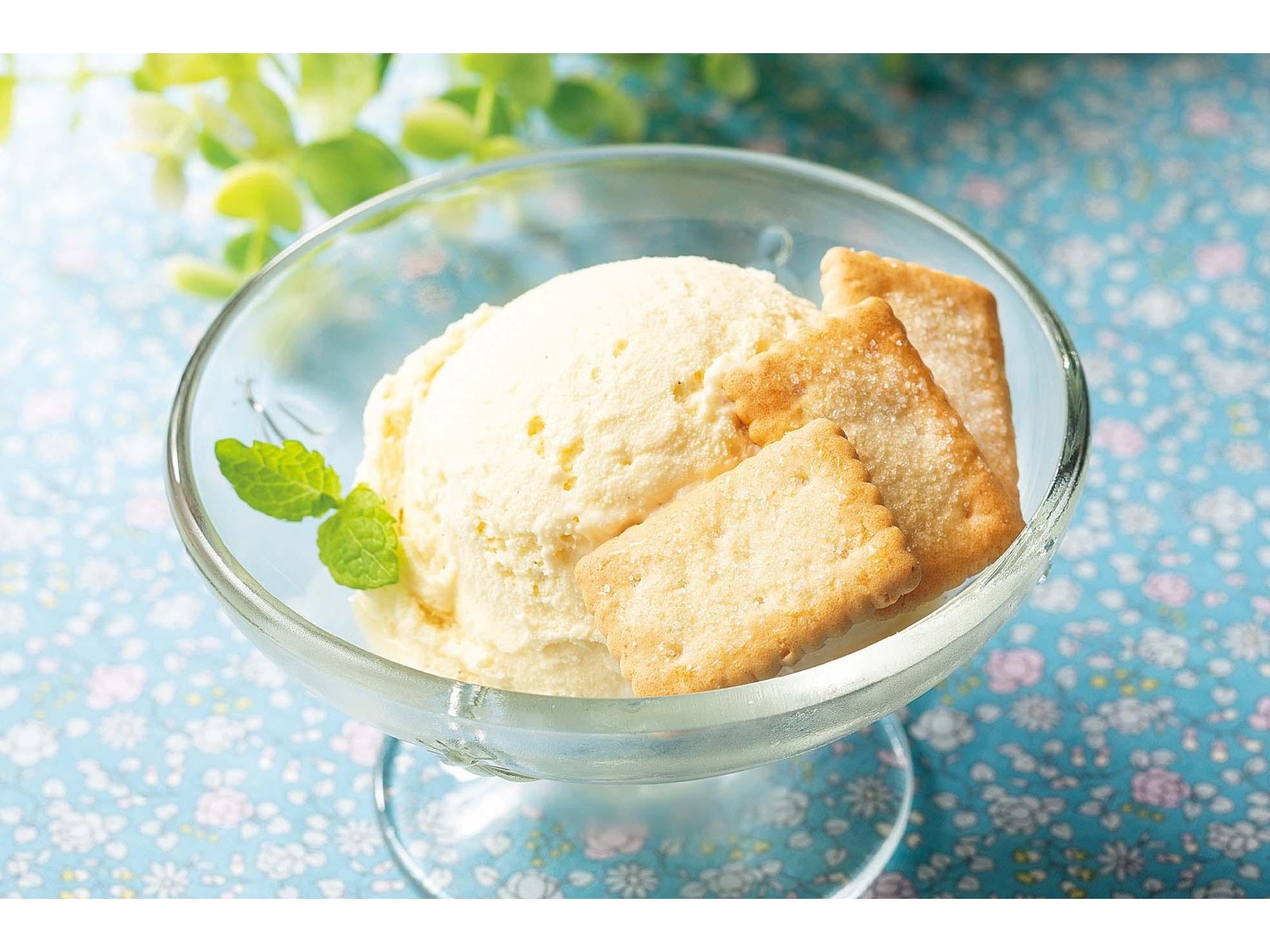 コニフ　クリーム　2個 楽天市場】【最大2,000円クーポン7月26日01:59まで】デザート