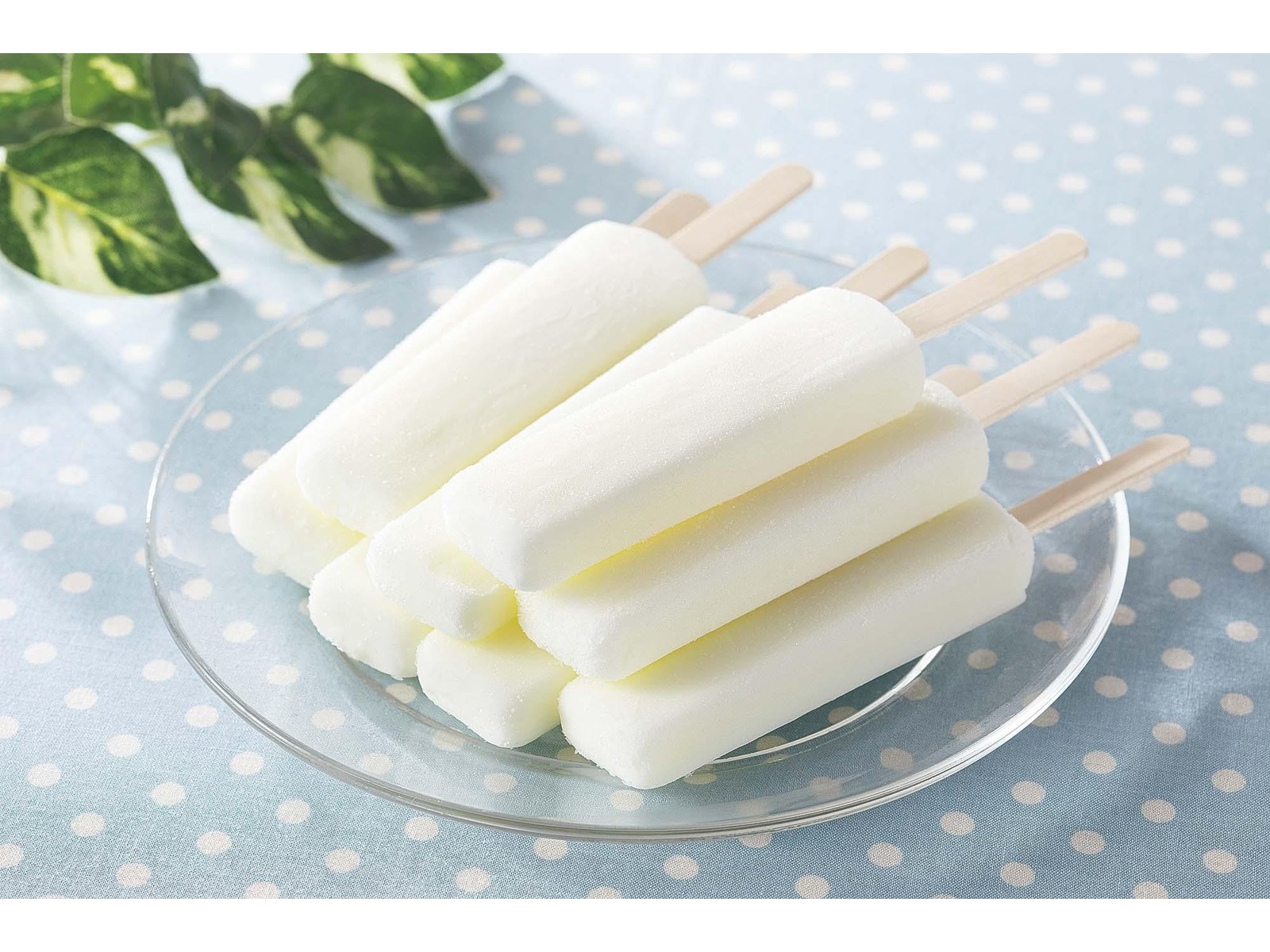 CO・OP 牛乳70％アイスバー 1箱（30ml×8本入）| コープこうべネット