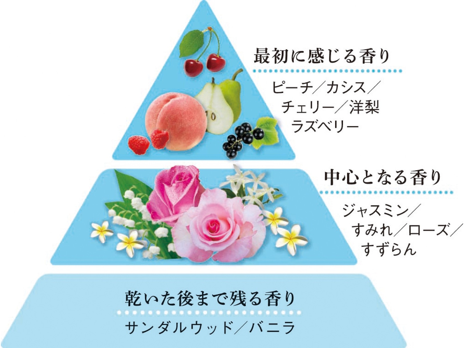 CO・OP 柔軟剤入り洗剤 ふんわり＆香るセフター つめかえ用