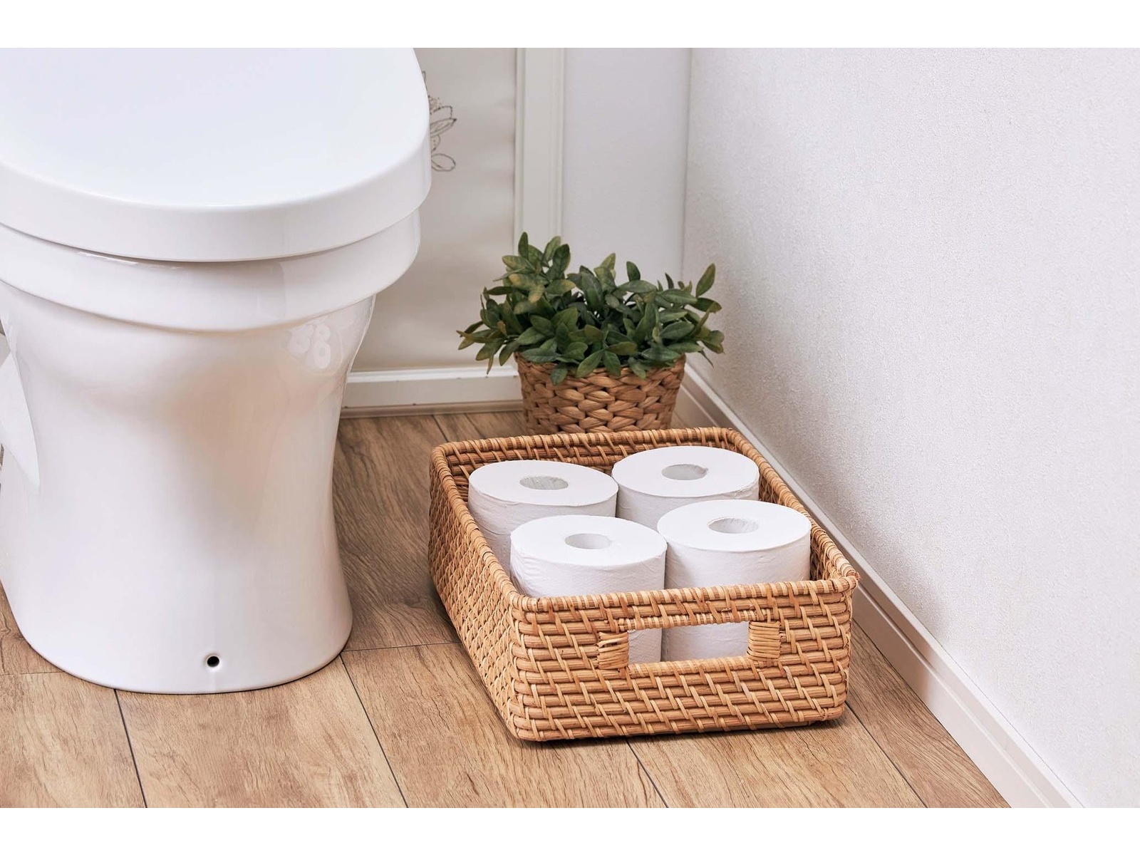 coco 静床20LB b0cnxjd71100.jpg