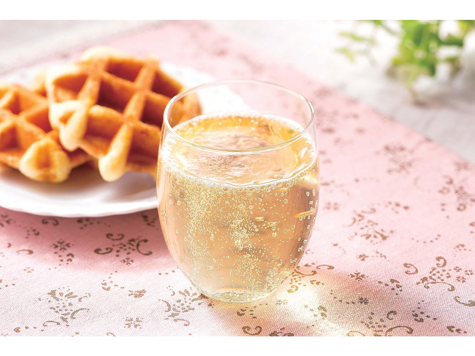 生ガランガル500g約約2袋お料理用＋生コブミカンオマケ普通温度発送普通温度発送 生ガランガル500g約約2袋お料理用＋生コブミカンオマケ。普通