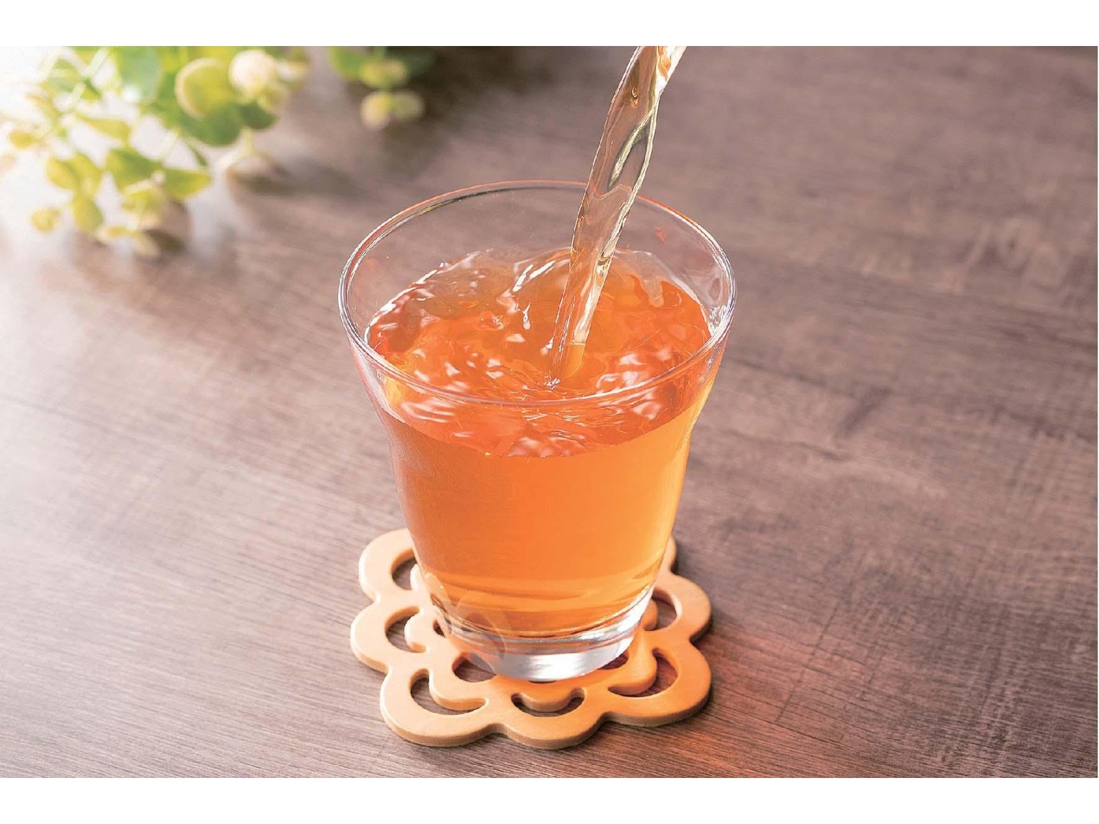 CO・OP 有機栽培グリーンルイボスティー 525ml| コープこうべネット
