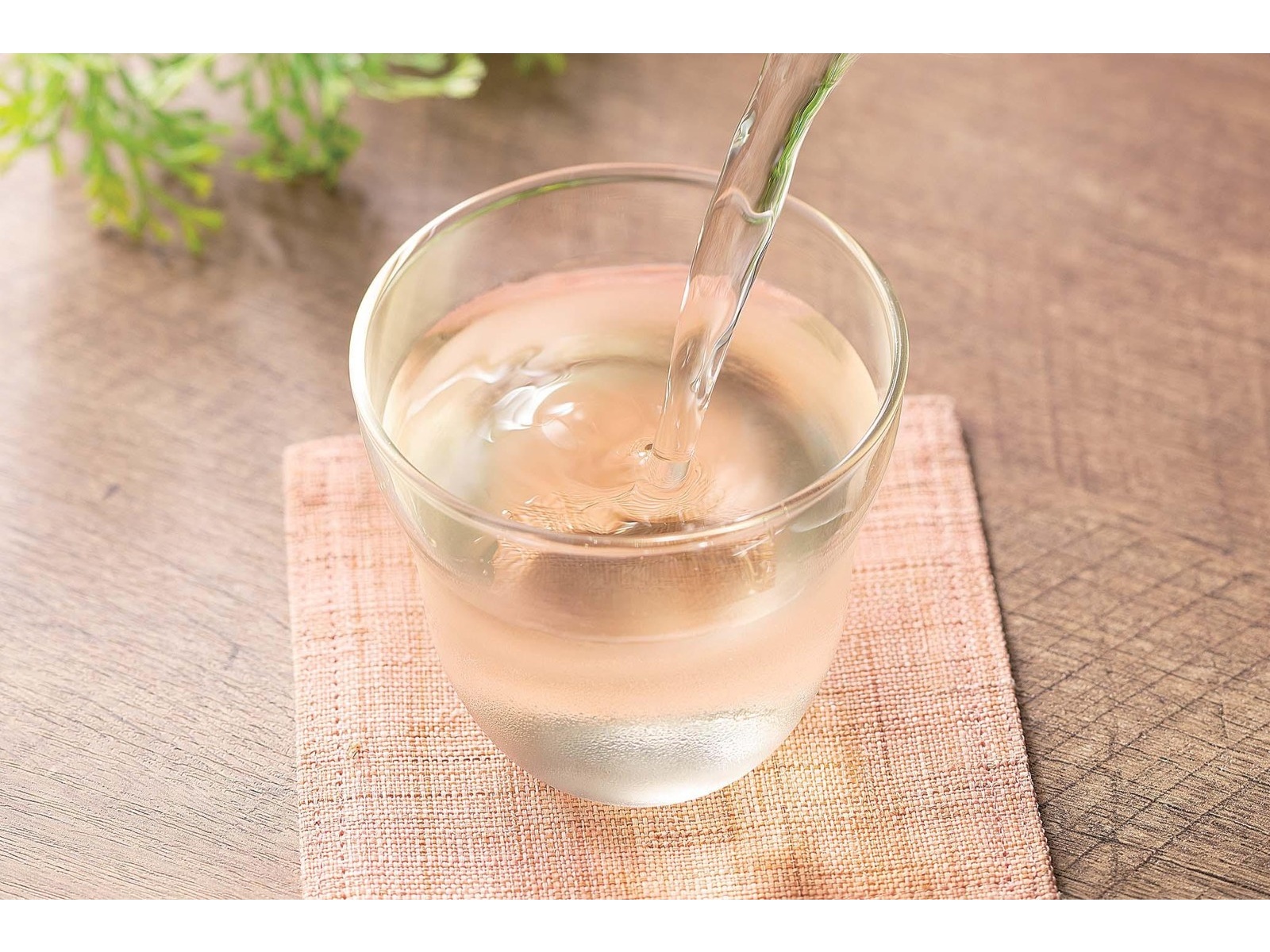 CO・OP 和歌山県産梅のドリンク 1箱(125ml×12本入)| コープ