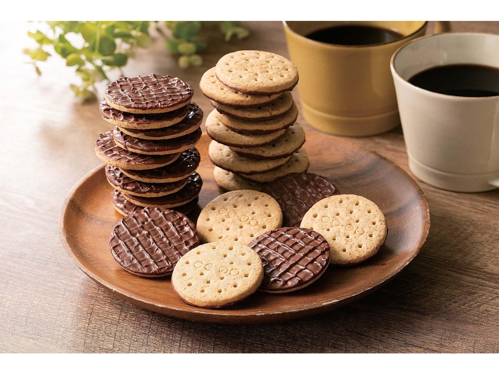 フルネスミミズ乾燥粉末4箱 賞味期限2028 05 フルネスミミズ乾燥粉末 4