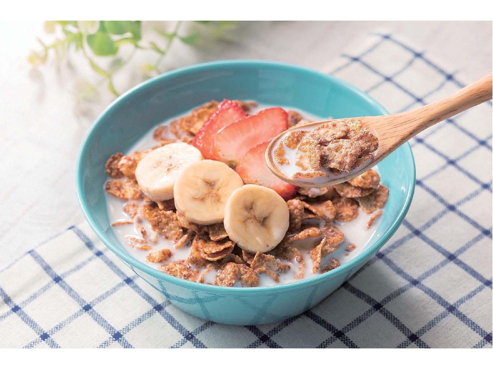 CO・OP コーンフレークチョコ 230g| コープこうべネット