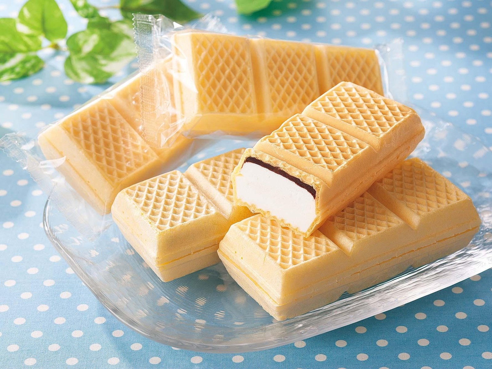 モデーア　ミールリプレイスメント　チョコレート味１袋、バニラ1袋 モデーア チョコレート・バニラ ミールリプレイスメント プロテイン