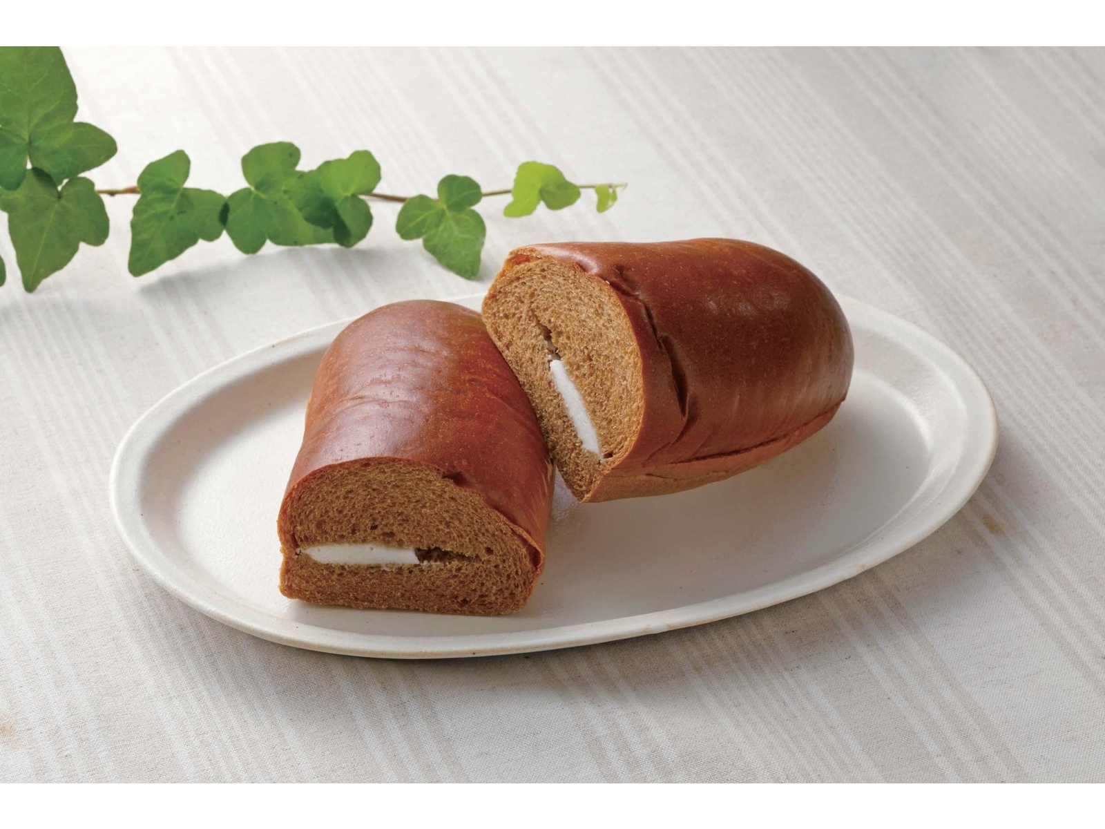 コーンパンページ Amazon | GOTOH ゴトー バンジョー ペグ 4弦セット SPBJ-4 AI 白