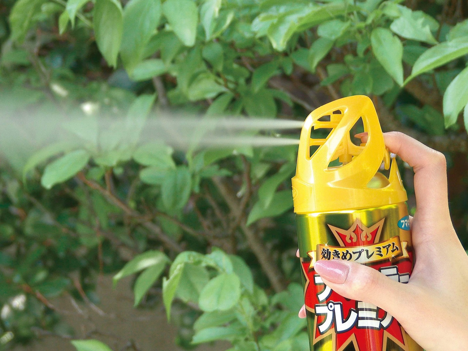 フマキラー フマキラープレミアム 550ml | コープこうべネット