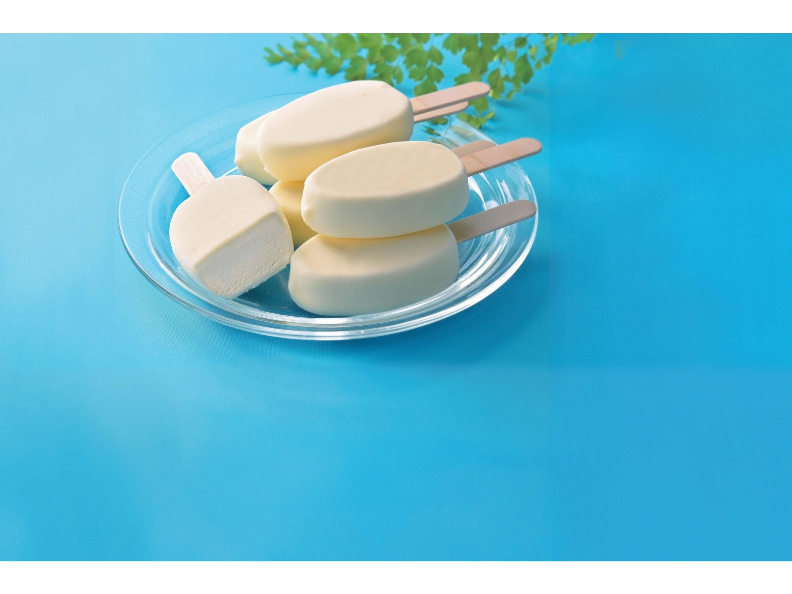 欅バーズドアイ ミニ食蘢 香合 小物入れ 欅バーズドアイ ミニ食蘢 香合