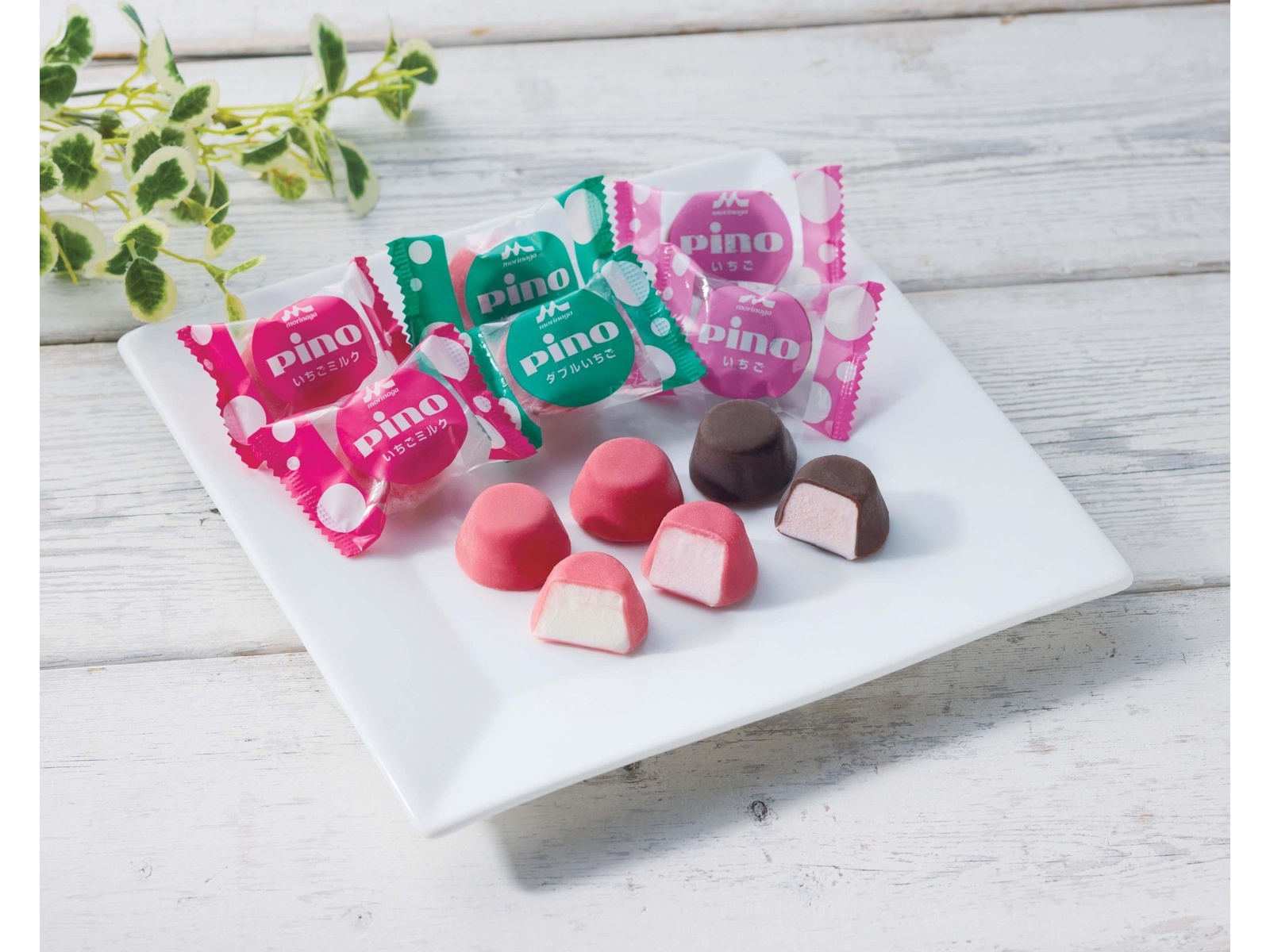 ★ピノ 楽天市場】[2021] VGR ピノ・ノワール 750ml 赤 辛口 00ワインズ