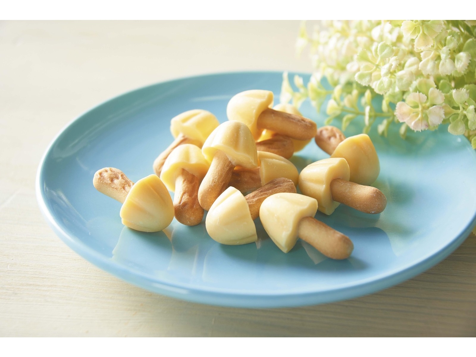 明治 きのこの山エッセル超バニラ味 8袋入| コープこうべネット