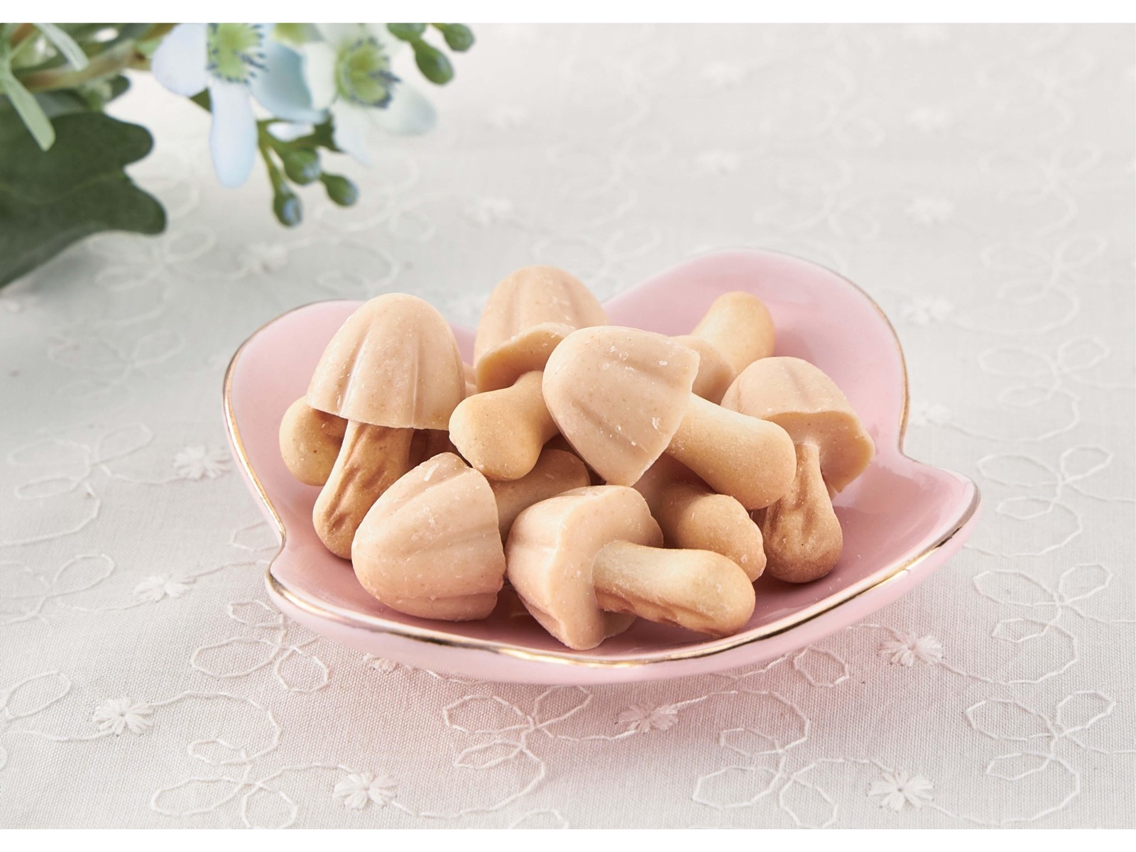 明治 関西限定 きのこの山 きなこ棒風味 64g| コープこうべネット