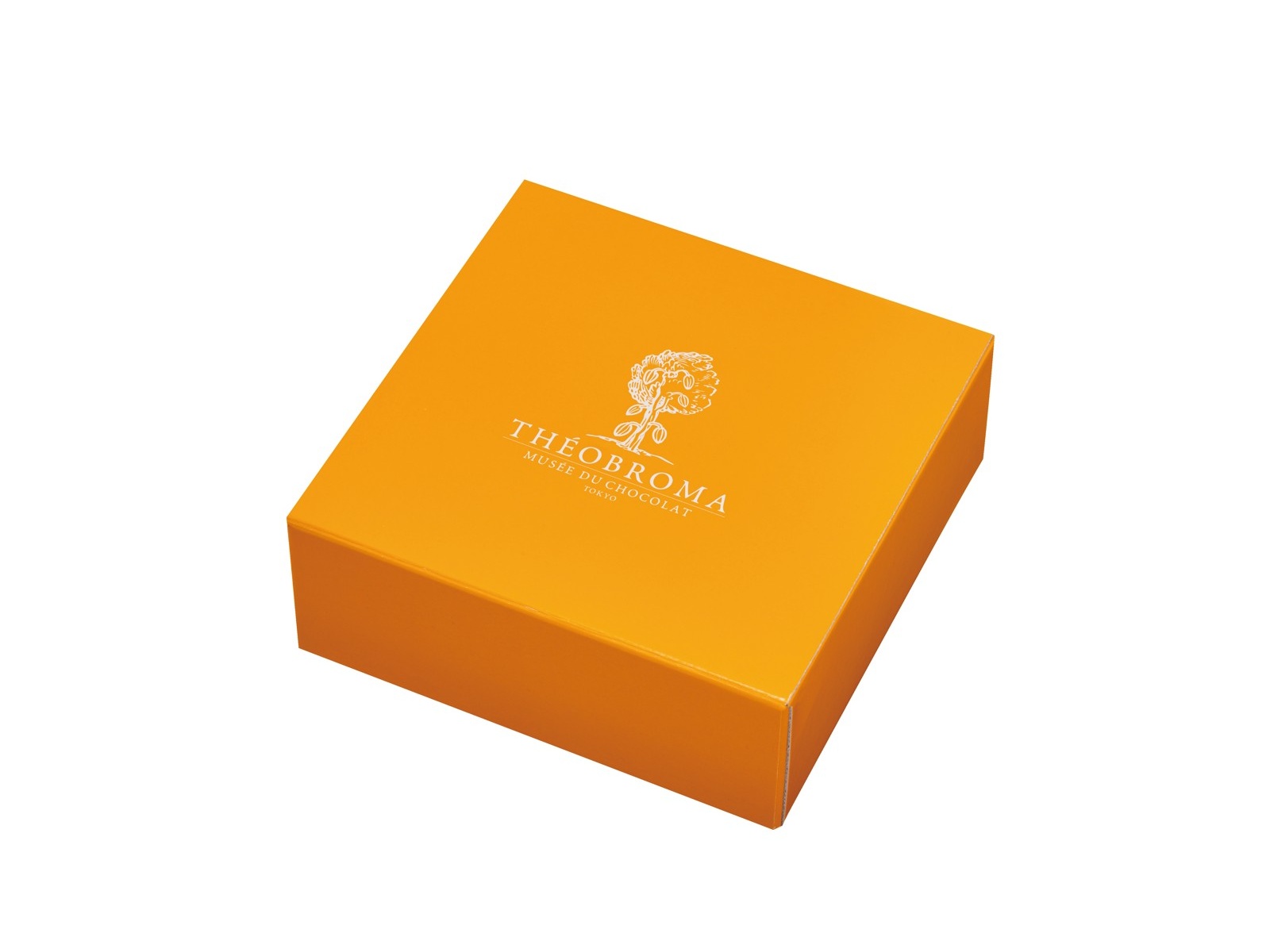 テオブロマ ガトードゥノエル オ ショコラ 1箱（1コ）| コープこうべネット