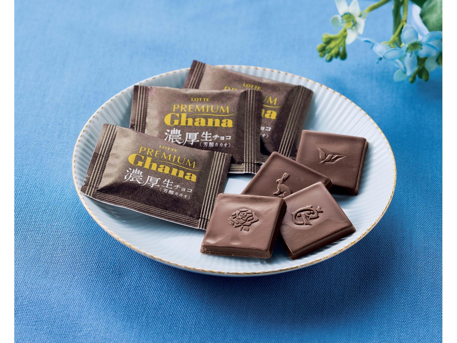 ロッテ プレミアムガーナ濃厚生チョコレート芳醇カカオ 12枚入