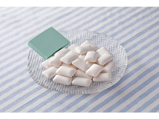 ロッテ キシリトールガムフレッシュミントファミリーボトル 133g