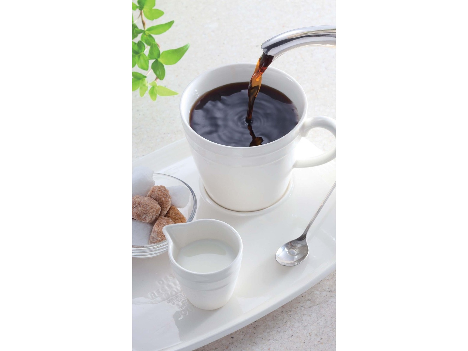 共栄製茶 喫茶店プロ仕様スペシャルブレンド(粉) 300g | コープこうべ