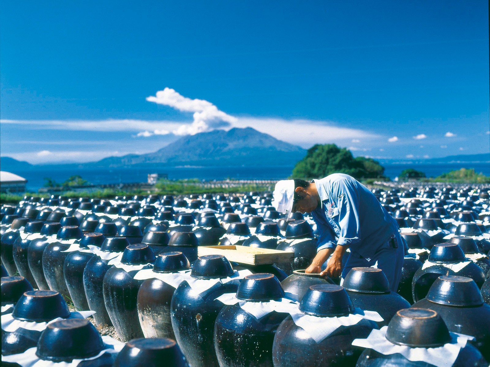 坂元醸造 鹿児島の黒酢 500ml| コープこうべネット