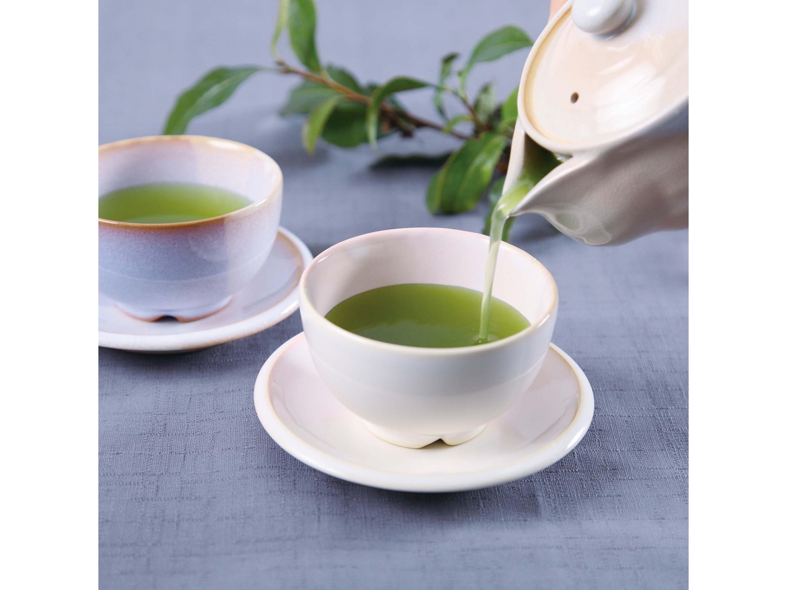 赤堀商店 本格濃厚一番摘み掛川茶 160g| コープこうべネット