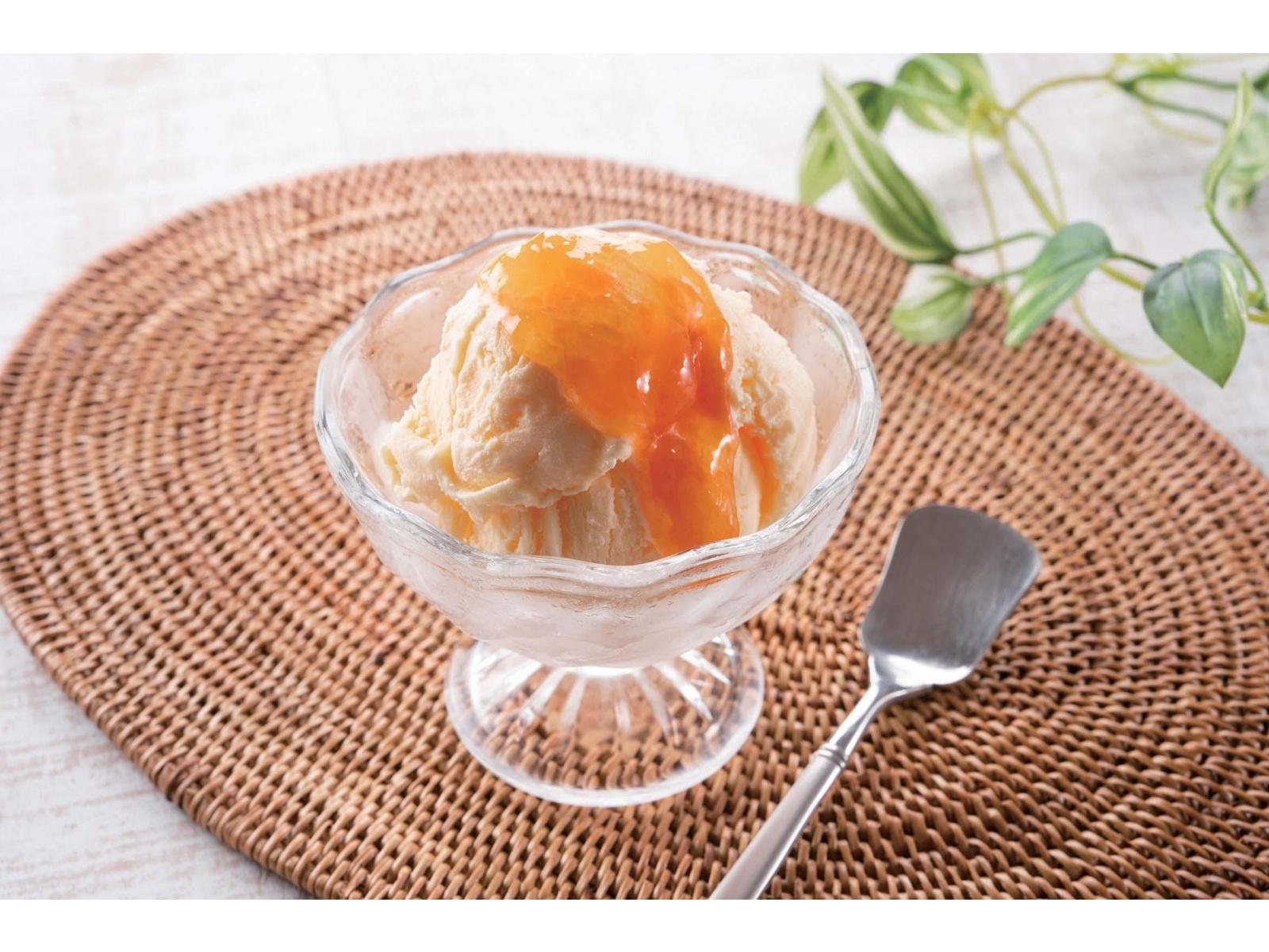 全国農協食品 季節のジャム あんず 145g | コープこうべネット