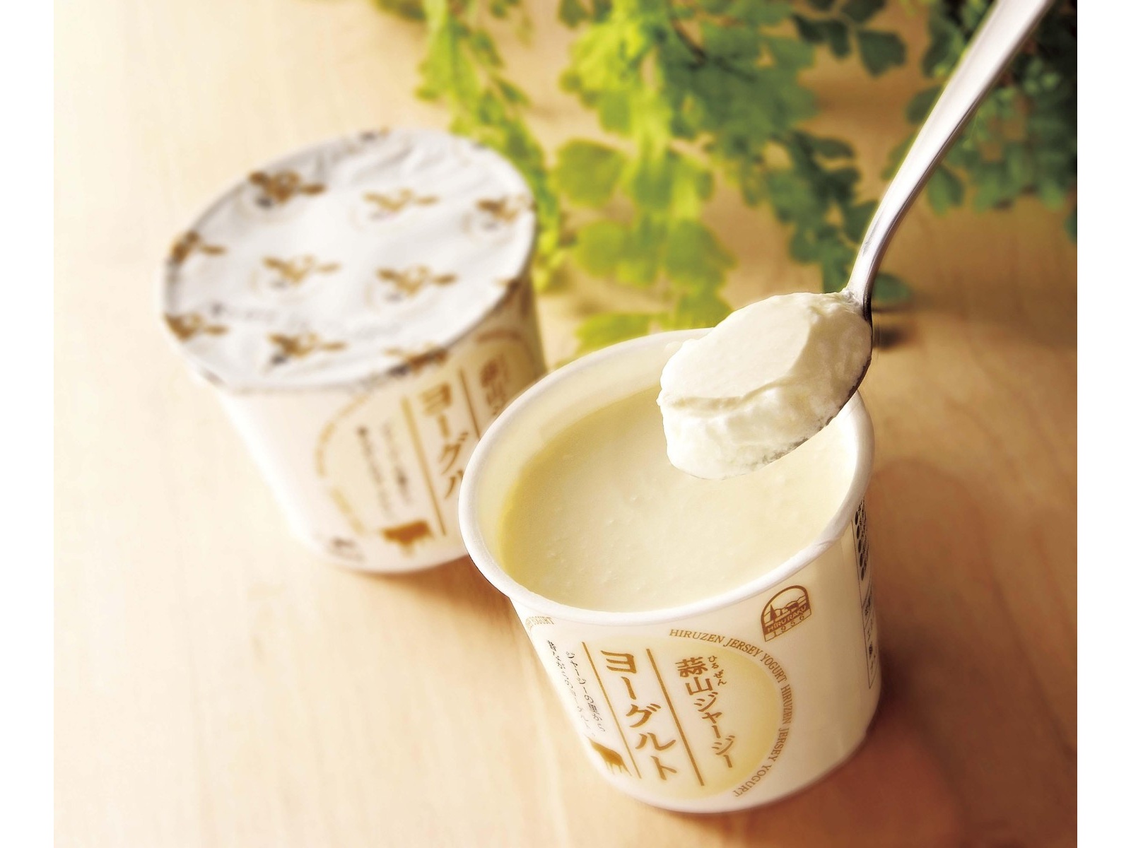 シャクリー　プロテイン 1000g   ヨーグルト4袋　　3月キャンペーン 栄養補給食品 | シャクリーJPサイト