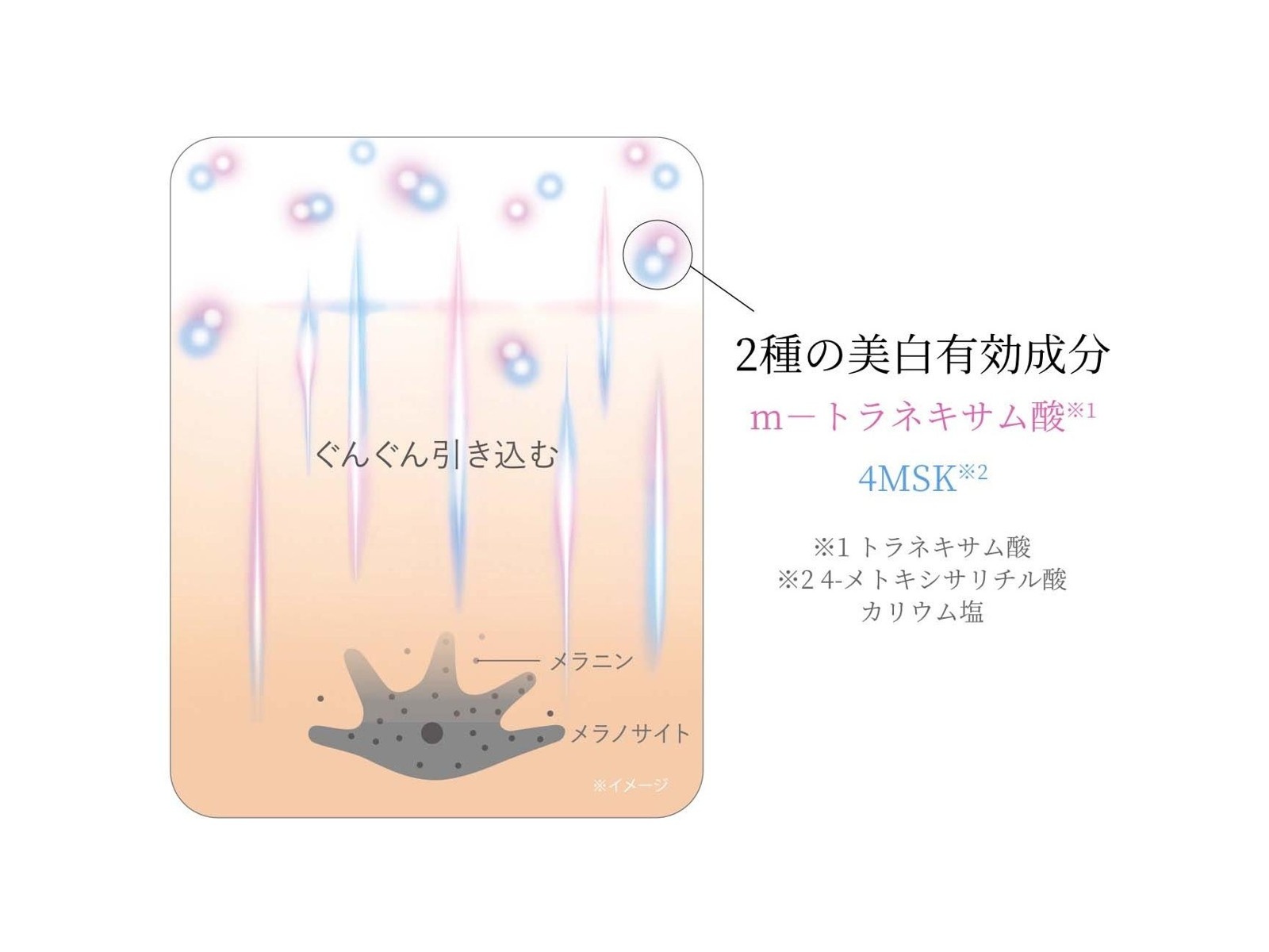 資生堂 HAKU メラノフォーカスEV レフィル 45g| コープこうべネット