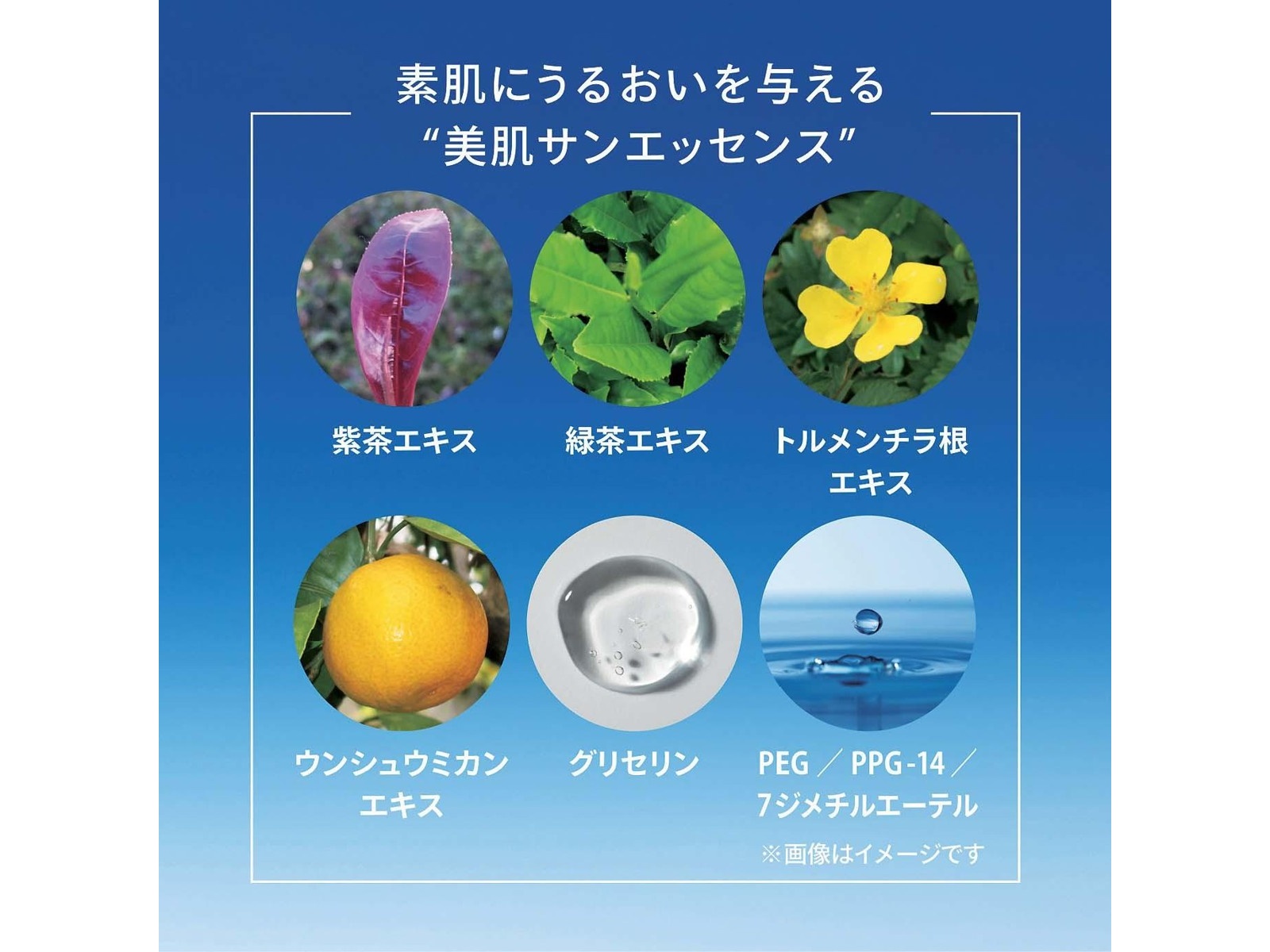 資生堂 アネッサ パーフェクトUVスキンケアミルクNA 60ml| コープ