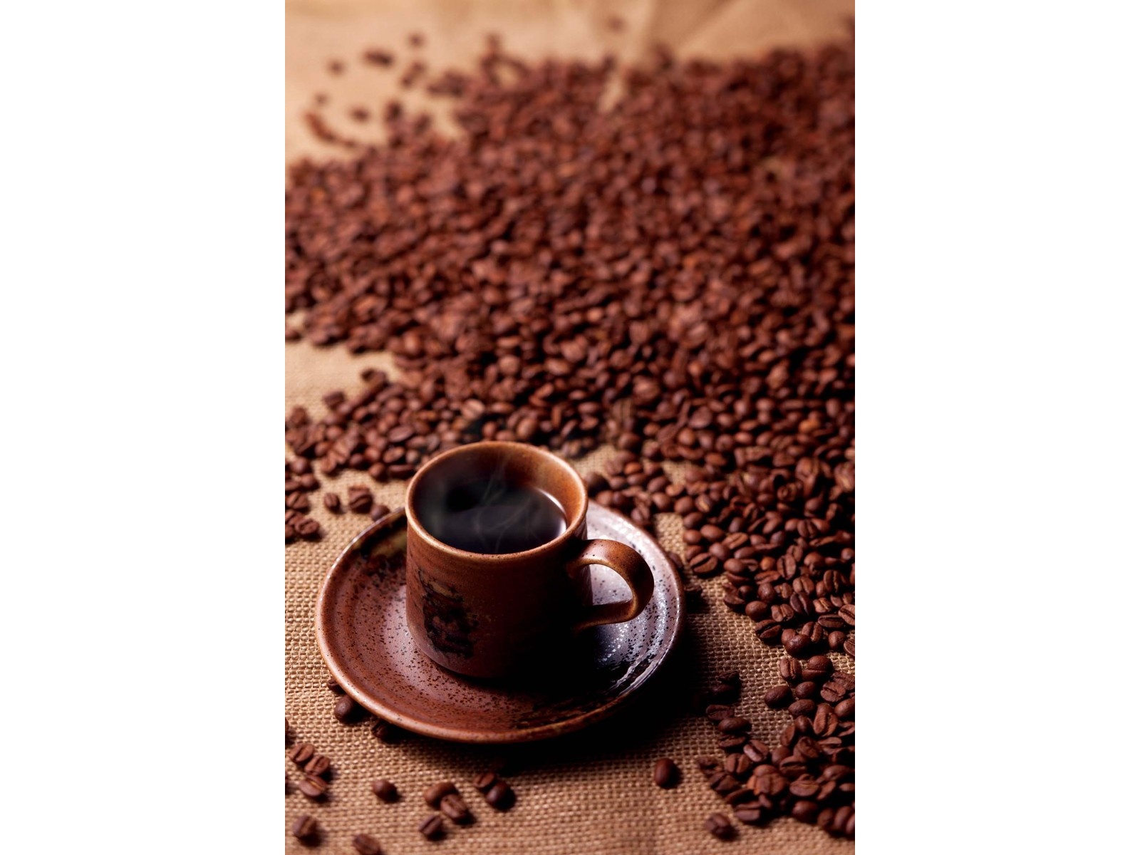 プリセプト フィットコーヒーすらり 1箱（2.2g×30包入）| コープ