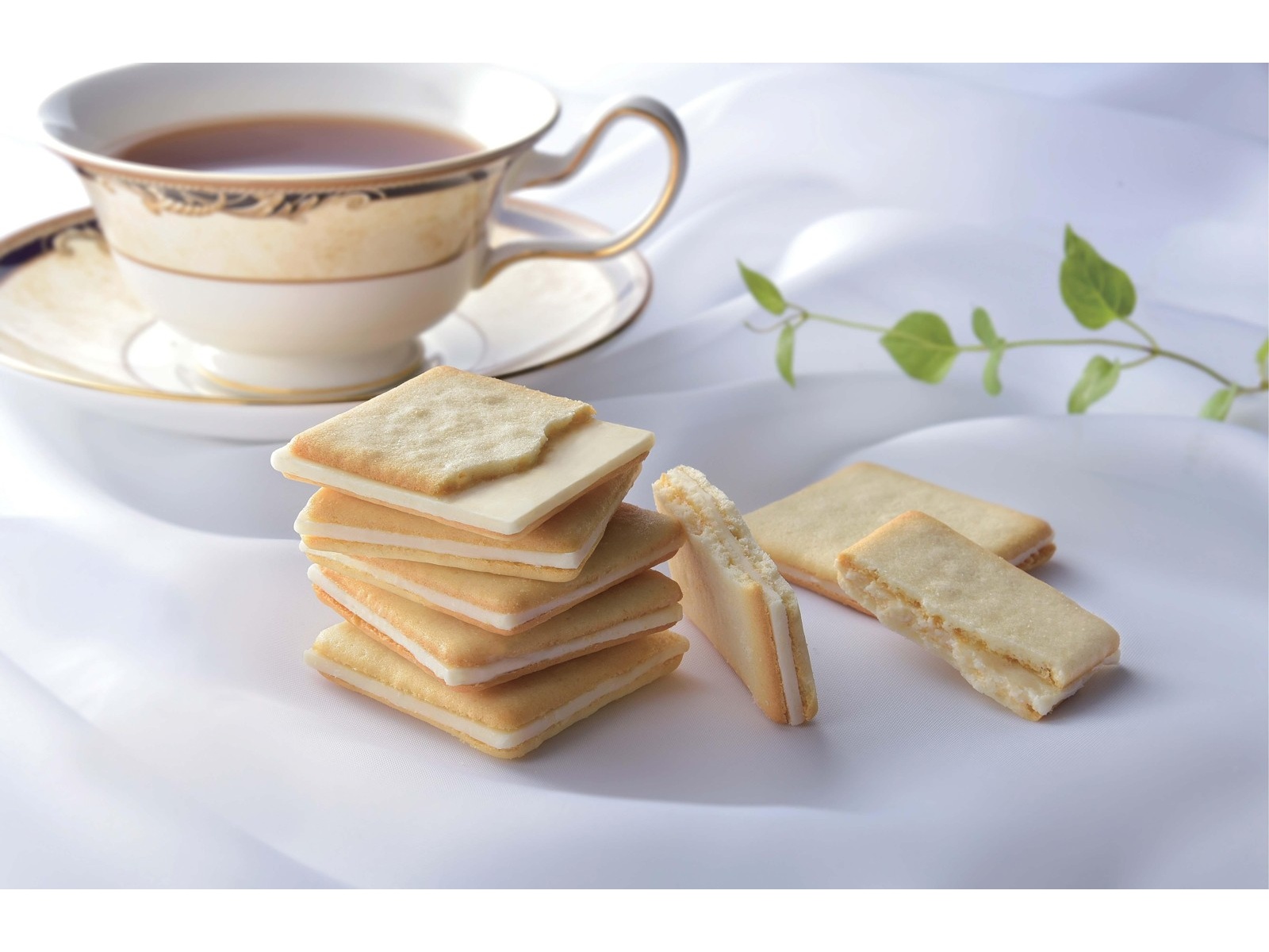 支配人　ミルク缶　5個セット 支配人様専用 ミルク缶 5個セット