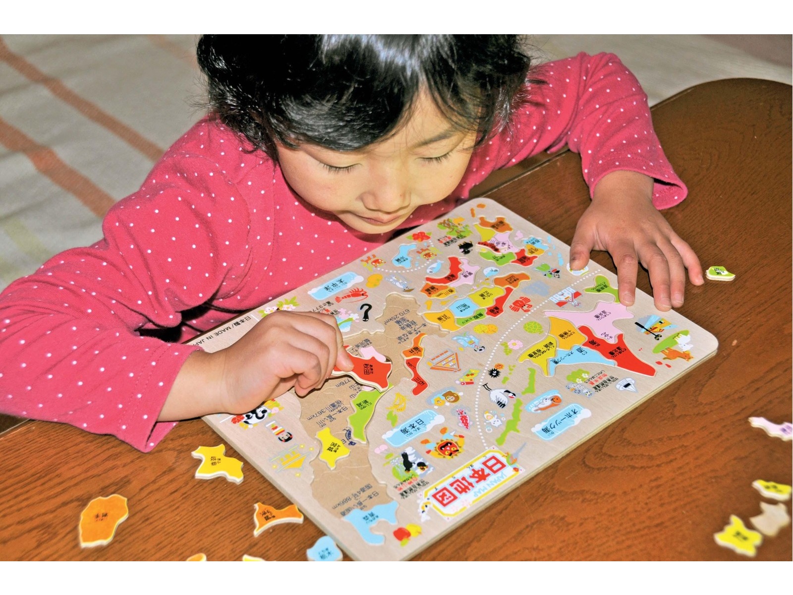 木製知育パズル 日本地図(県別) 1セット | コープこうべネット