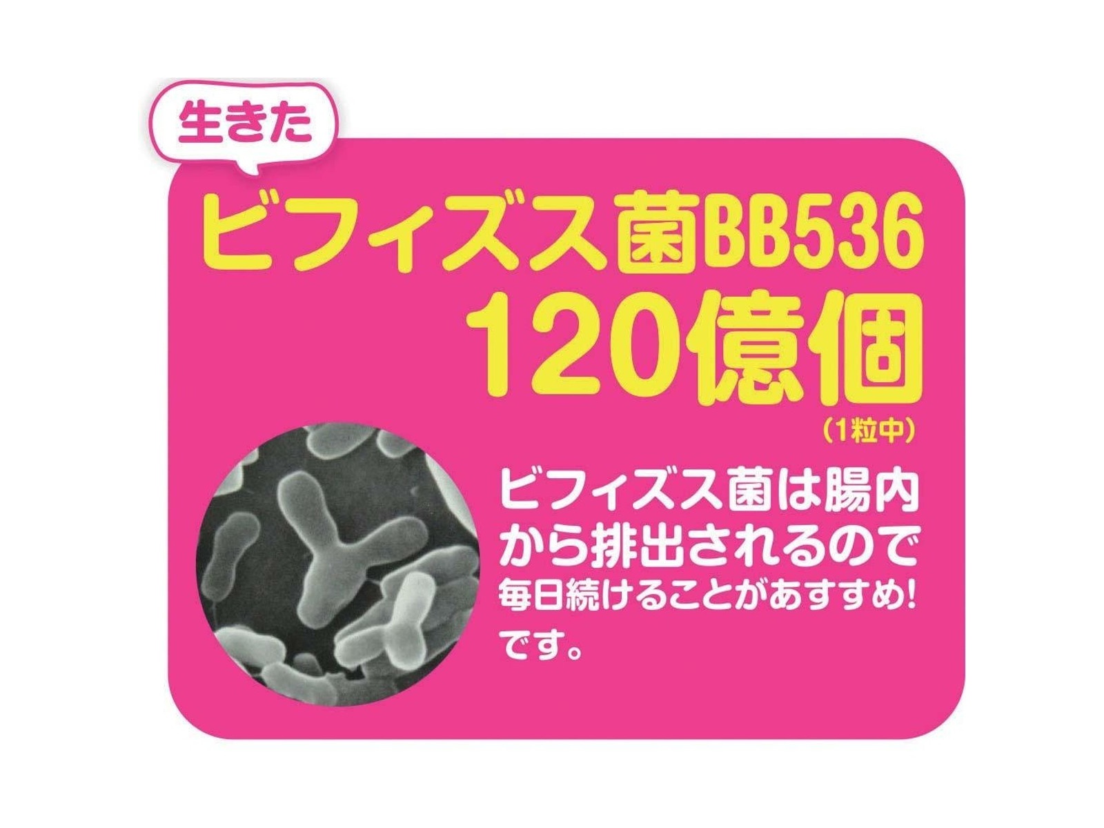 オスミウム インゴット保証書付き 限定66枚 重量3.11g 純度99.95