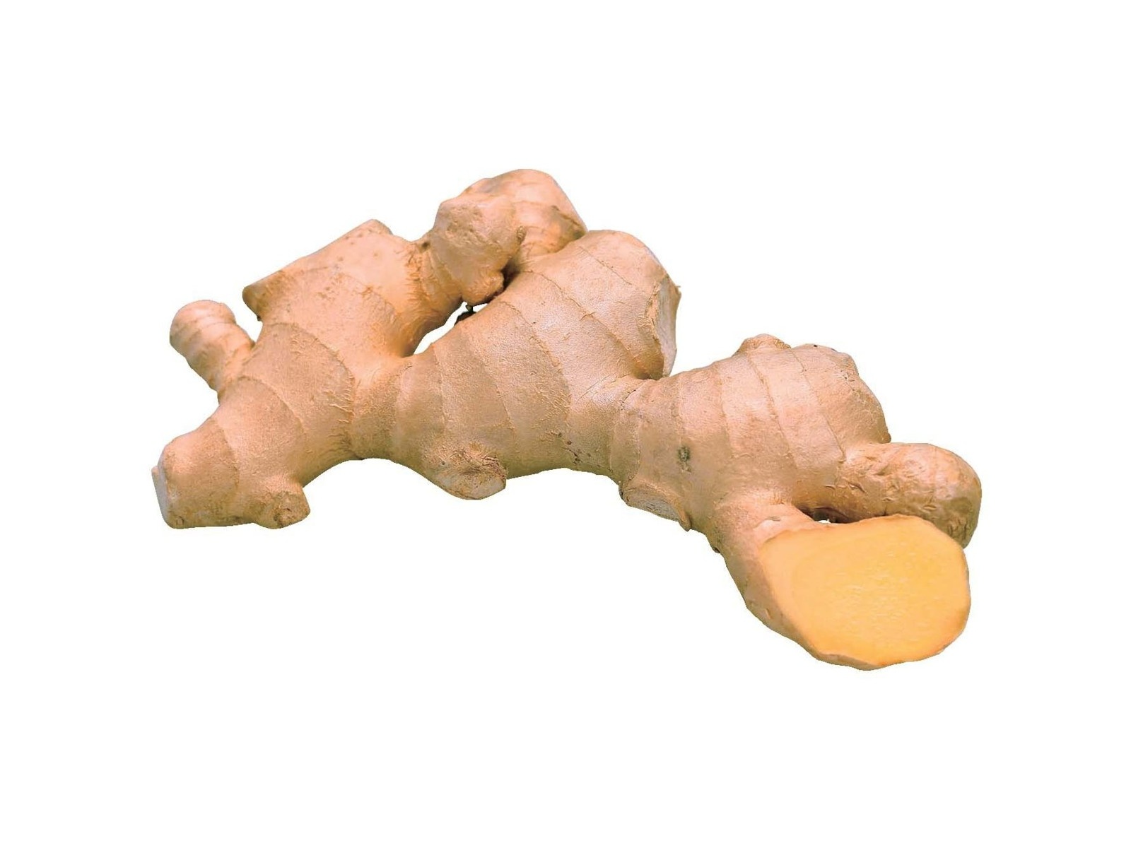 タケイ 黒酢黒にんにく黄金しょうが 60粒入×2コ組| コープこうべネット