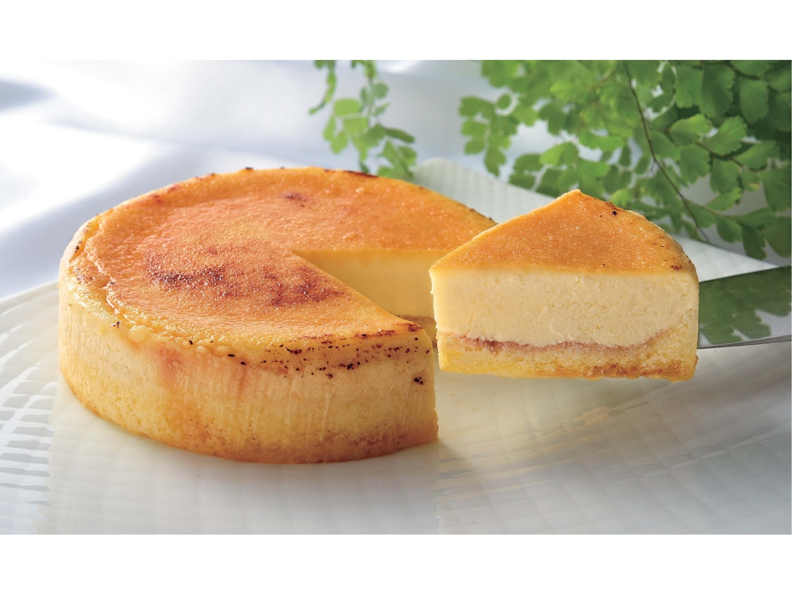 モーリシャス アフリカ ナショナルエンブレム つまようじ旗 ラベル付き パーティー ケーキ 食品 チーズプレート Amazon.co.jp: 200個  空白 つまようじフラッグ クラフト紙 旗 ピック チーズマーカー ビュッフェラベル ミニスティック カップケーキトッパー ウェディング ..., image size:1600x1200