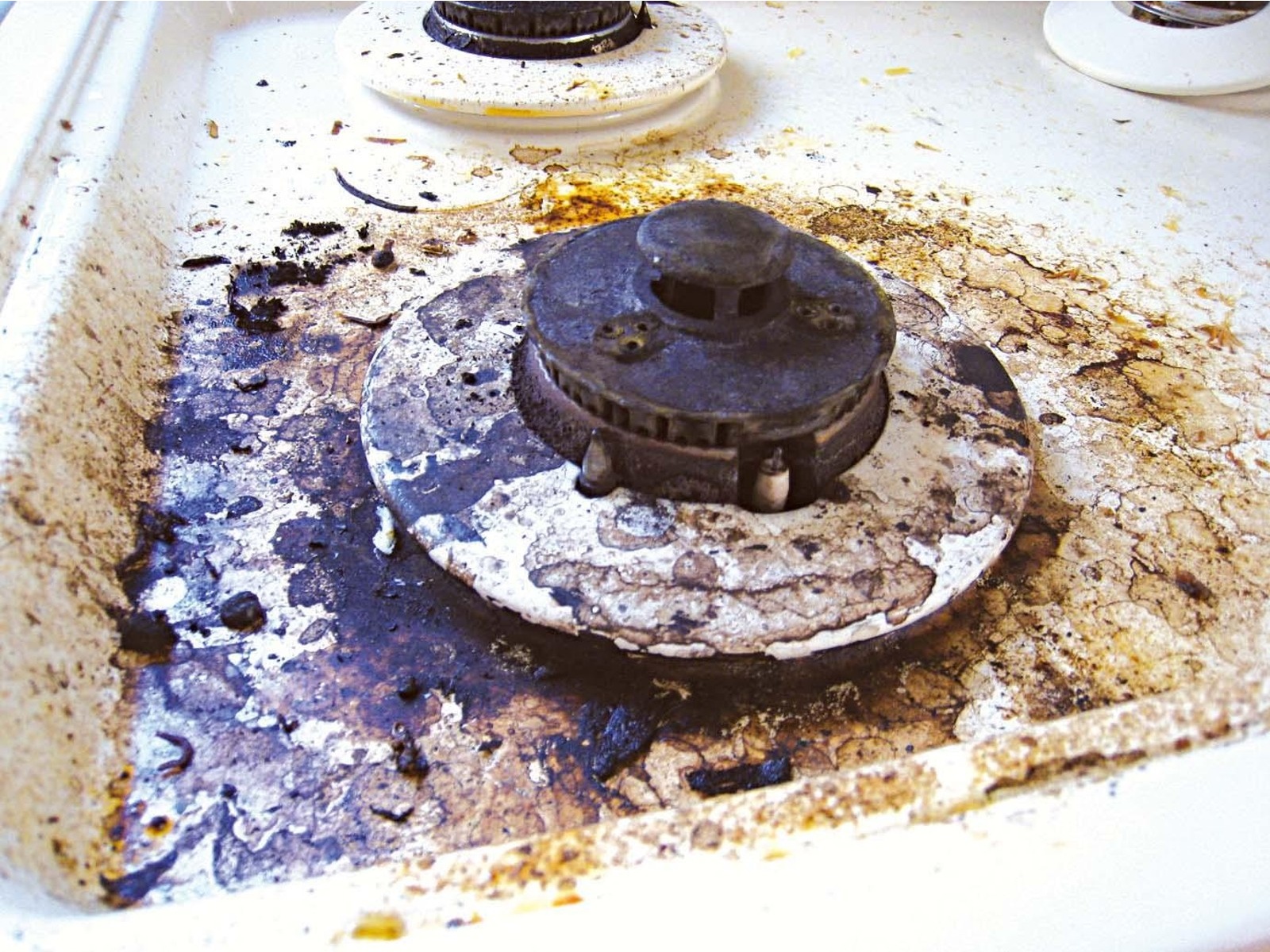 アクアエクス 多目的エコ洗剤 詰め替え用 1000ml| コープこうべネット