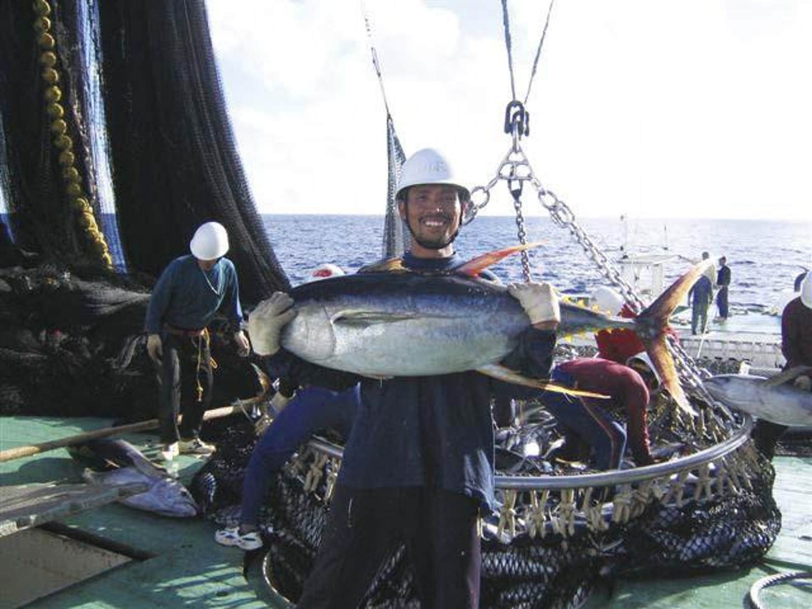 伊藤食品 あいこちゃんツナまぐろ水煮フレーク 70g(総量)×4缶組+1缶