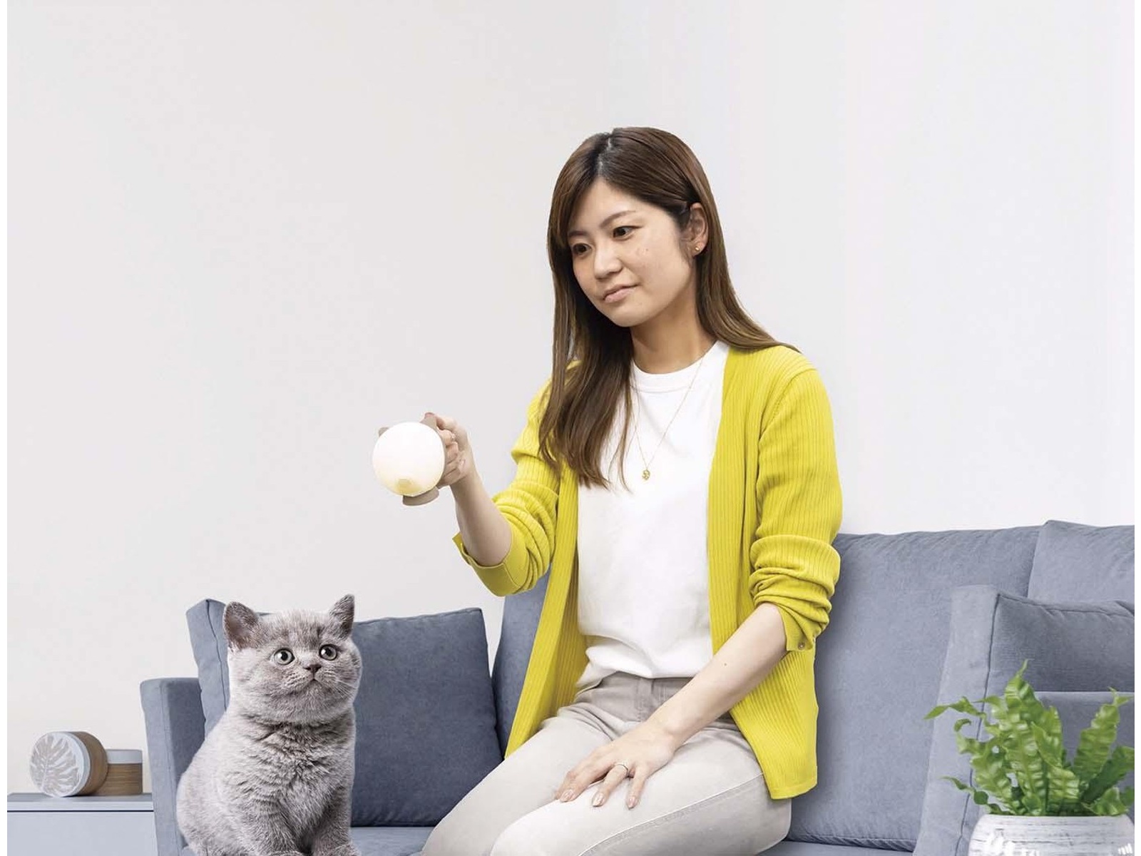 楽々_即購入可 ページ Amazon.co.jp: サンエックス すみっコぐらしフラットポーチ ねこ