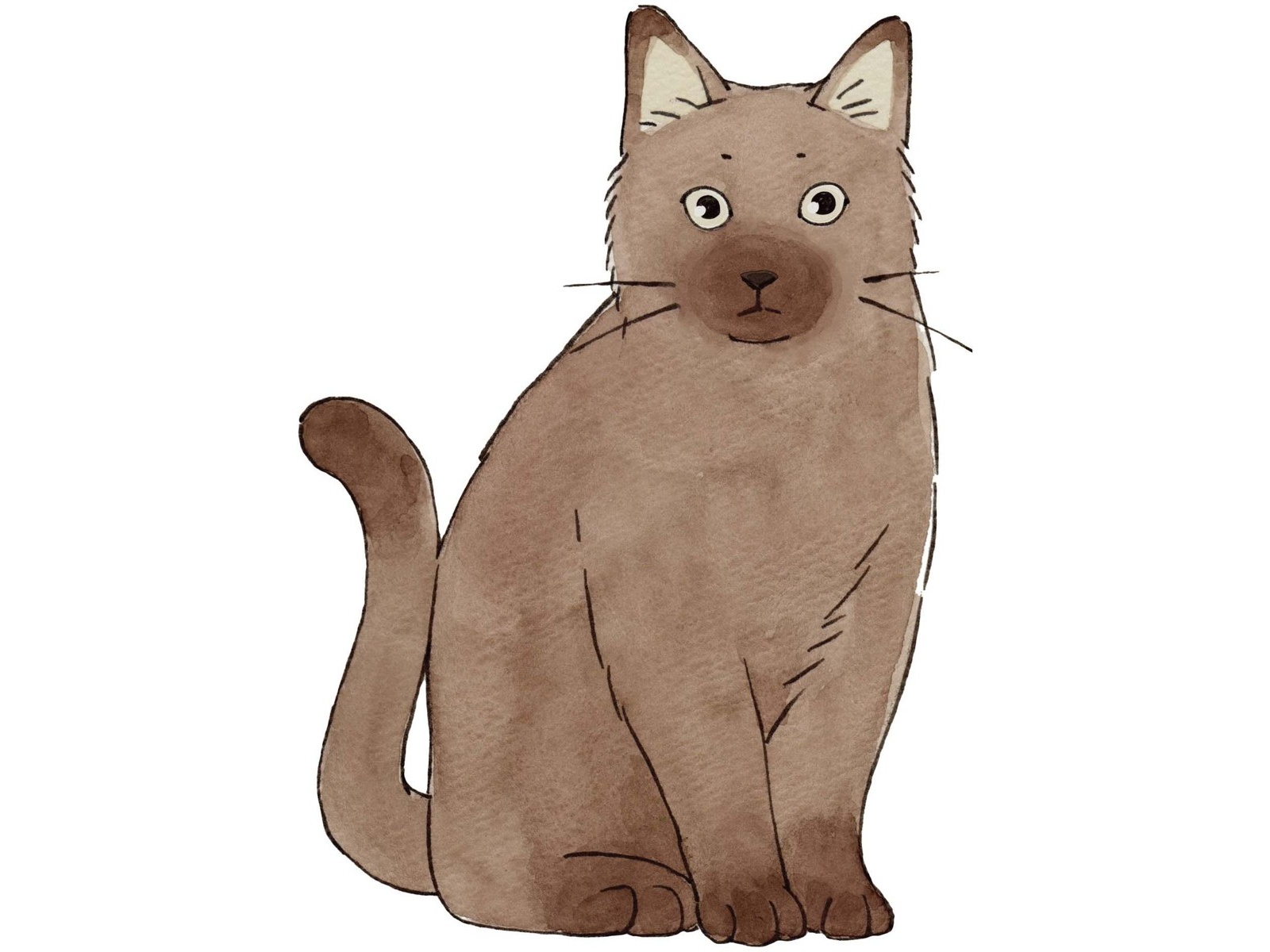 [専用出品]まんまる ムサシ まんまるねこちゃんライト WAM-053AC 1台| コープこうべ