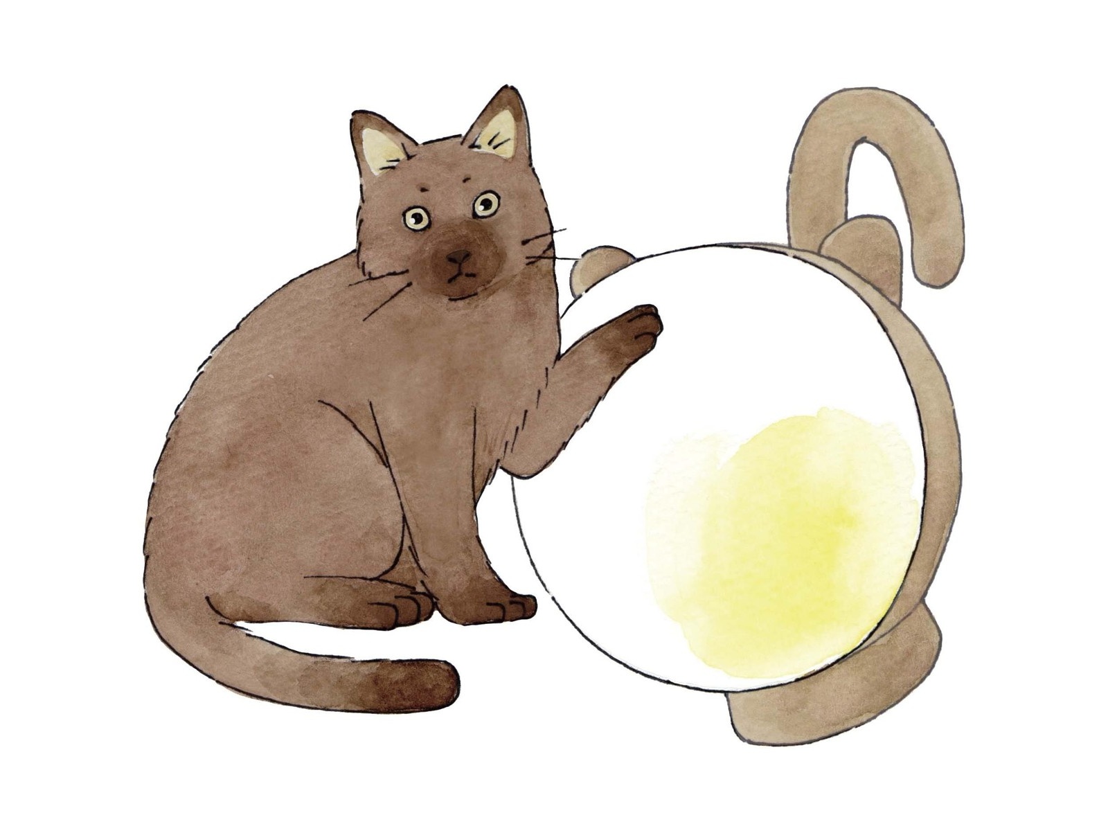 ムサシ まんまるねこちゃんライト WAM-053AC 1台| コープこうべ