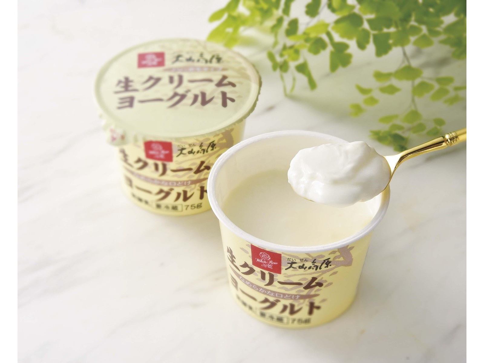 大山乳業 大山高原生クリームヨーグルト 75g×4コ入| コープ