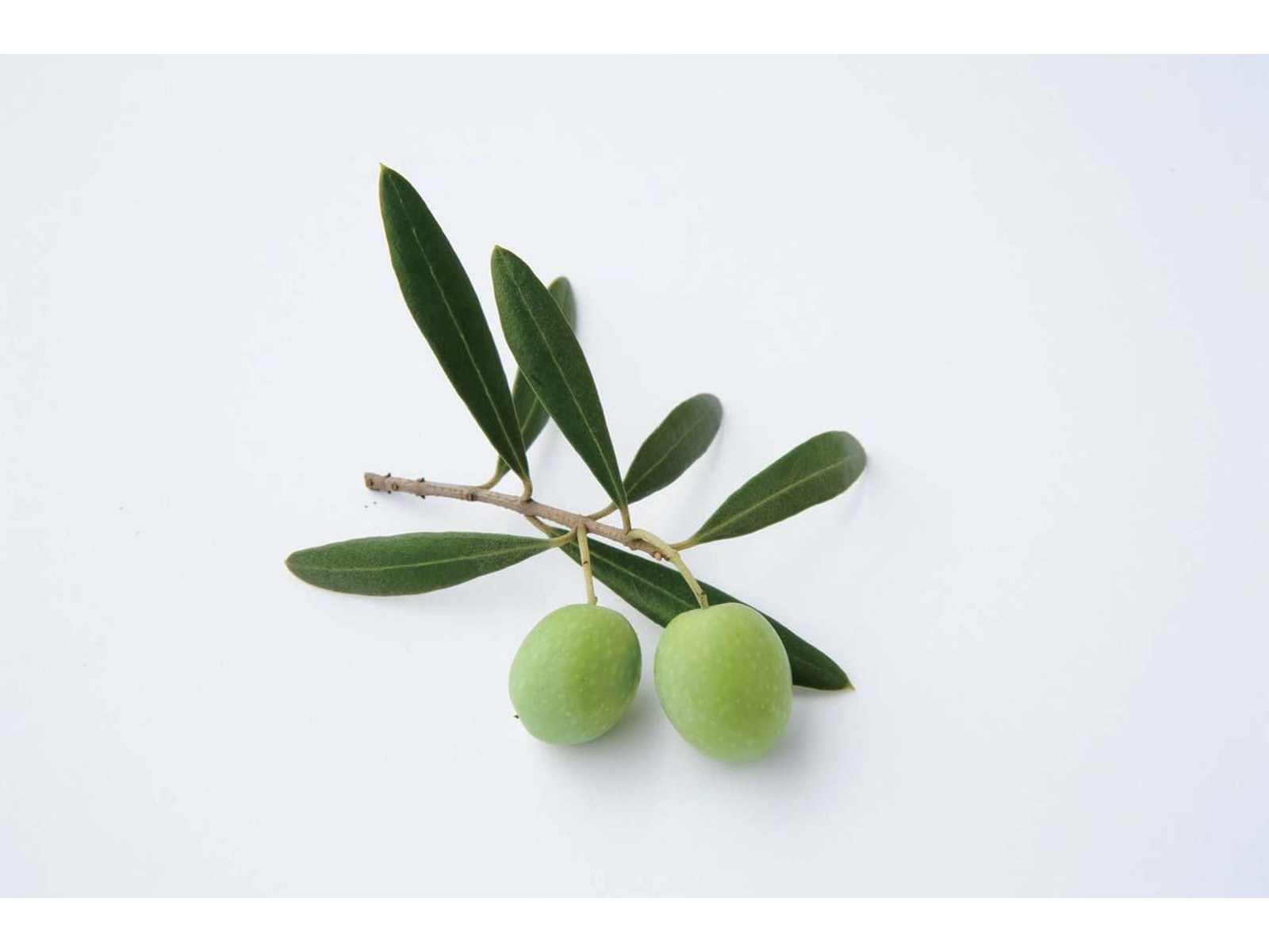 日本オリーブ オリーブ果汁水 180ml| コープこうべネット