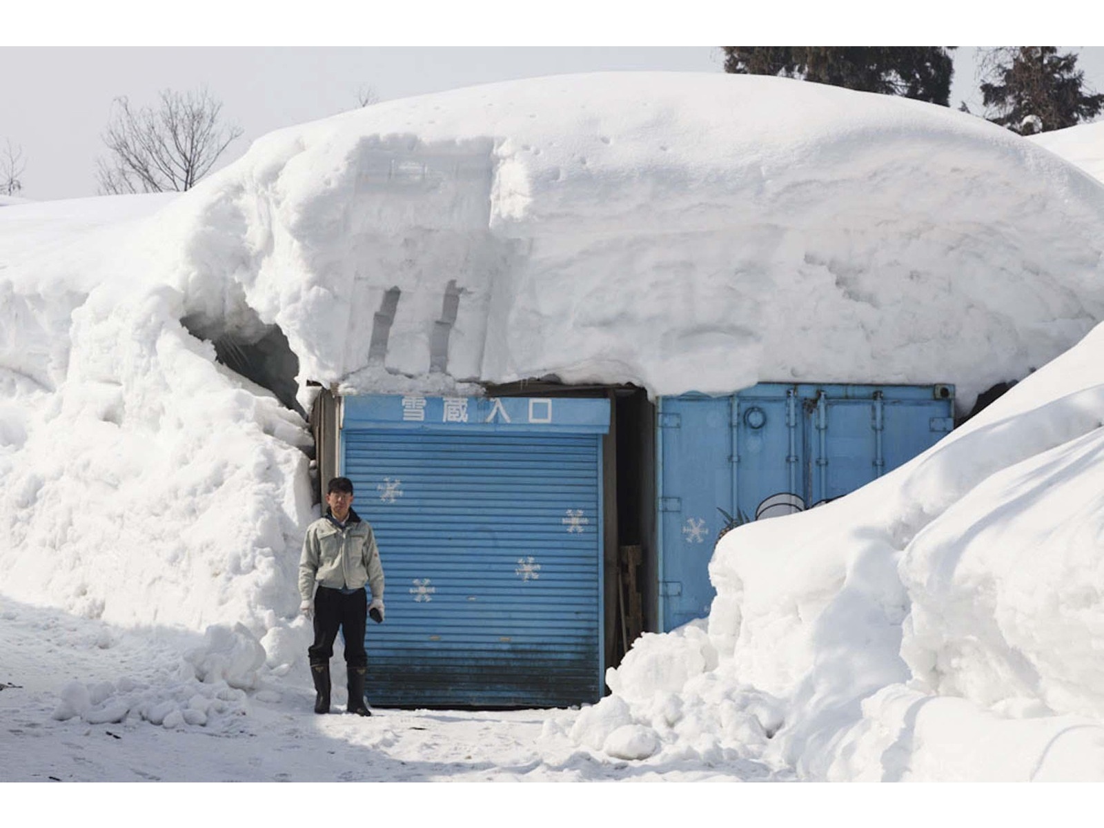 新潟銘醸 越の寒中梅【雪蔵貯蔵】純米吟醸生原酒 720ml（瓶