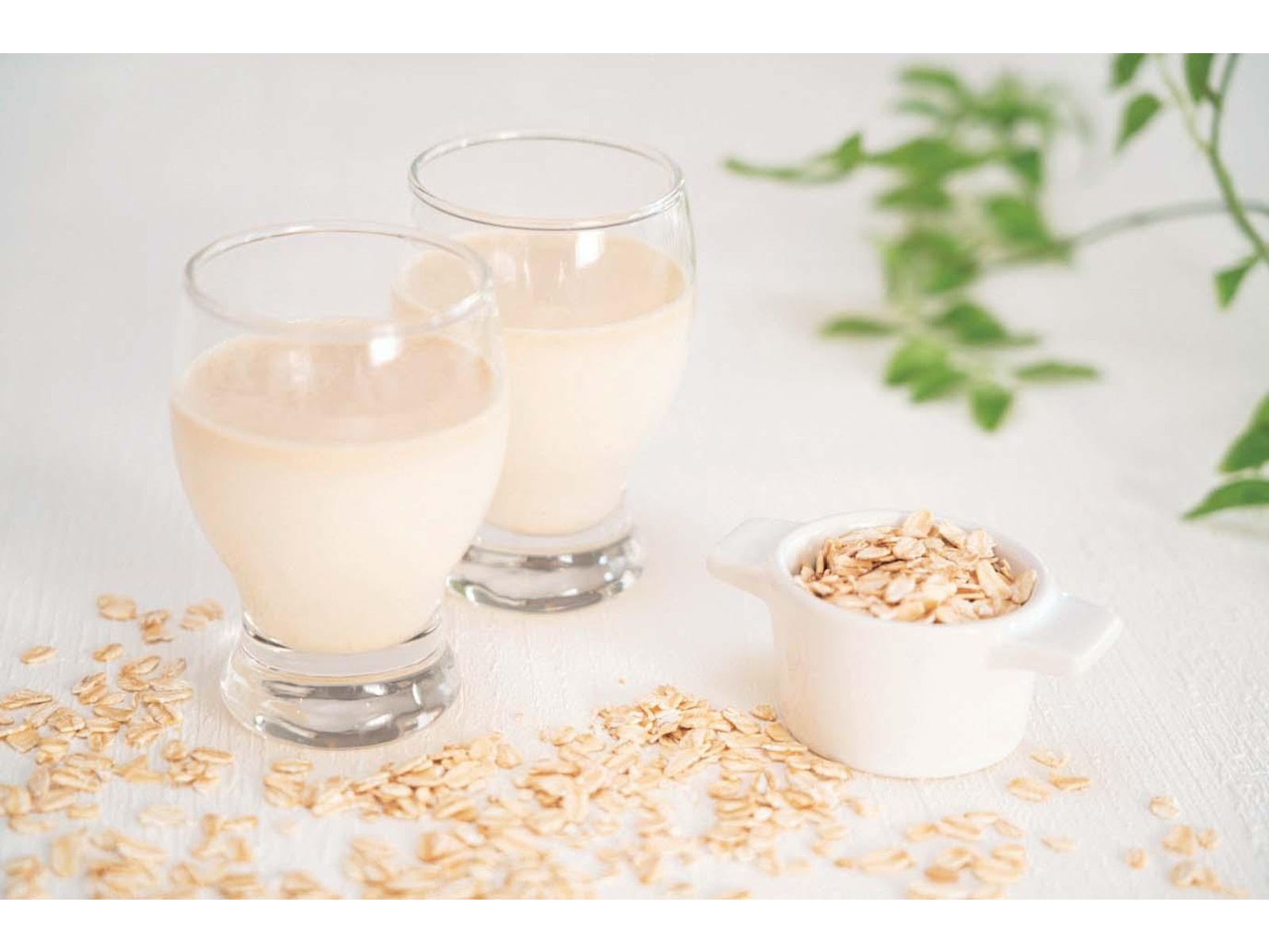 P-leche プラントミルクメーカー 福農産業 P-leche プラントミルクメーカー （300ml ピーレチェ